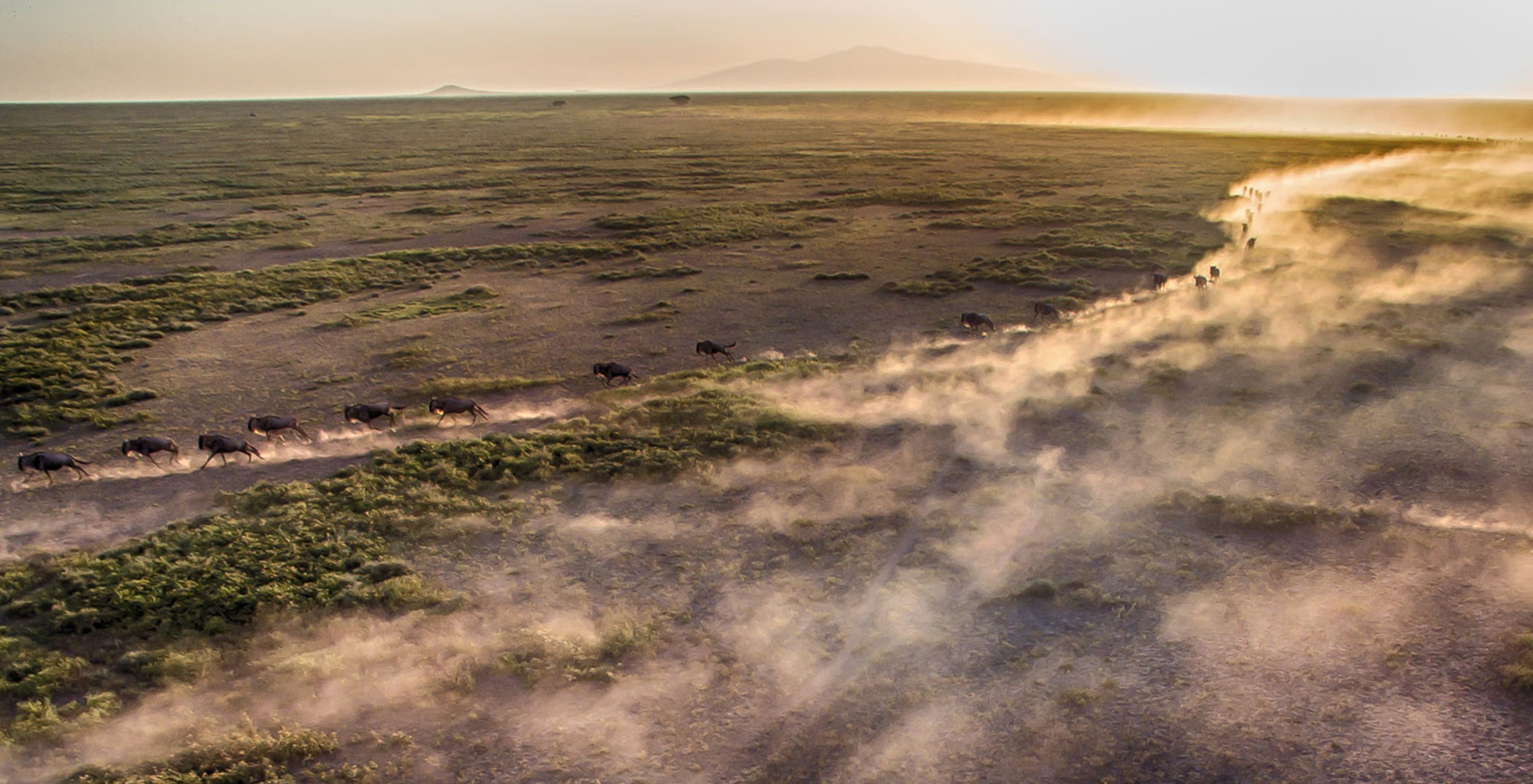 Tanzania-Loliondo-Serengeti-Hero