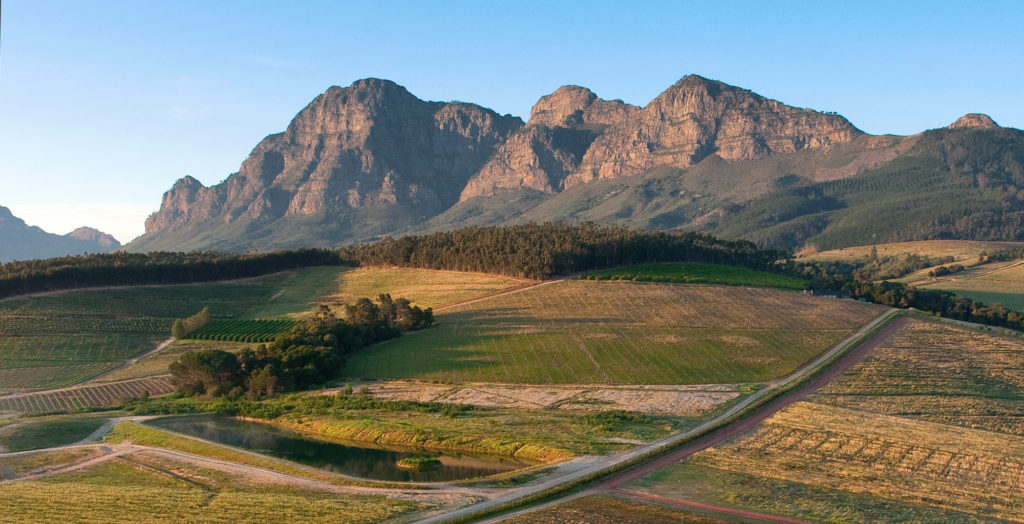 South-Africa-Winelands-Hero