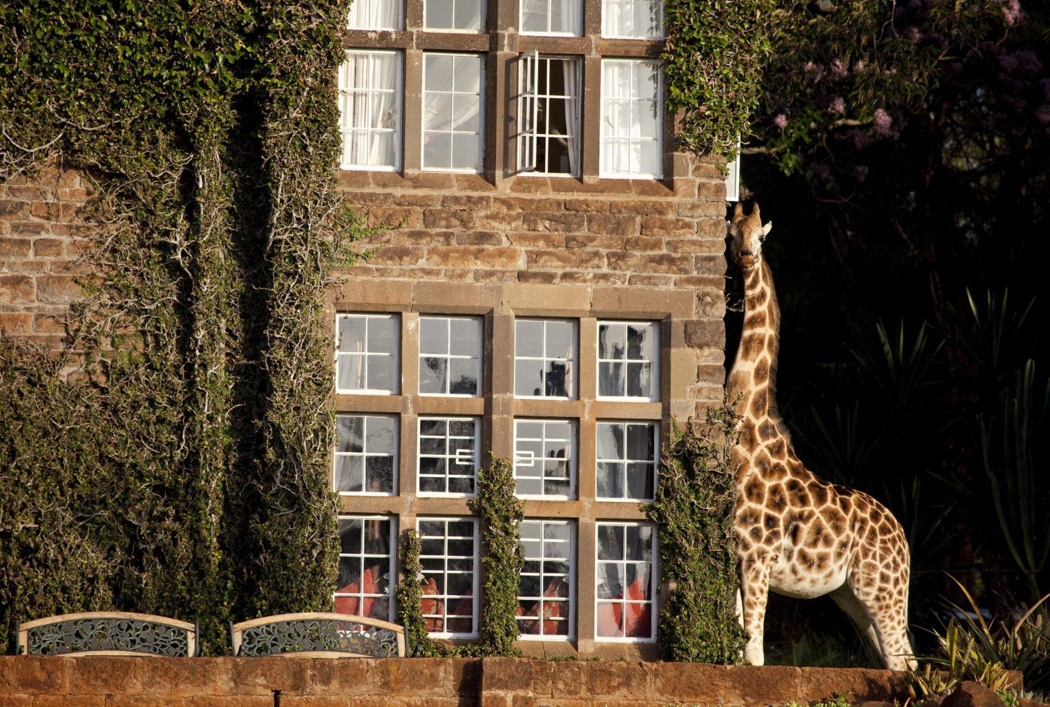 African Safari Destinations: Luxury Bespoke Travel