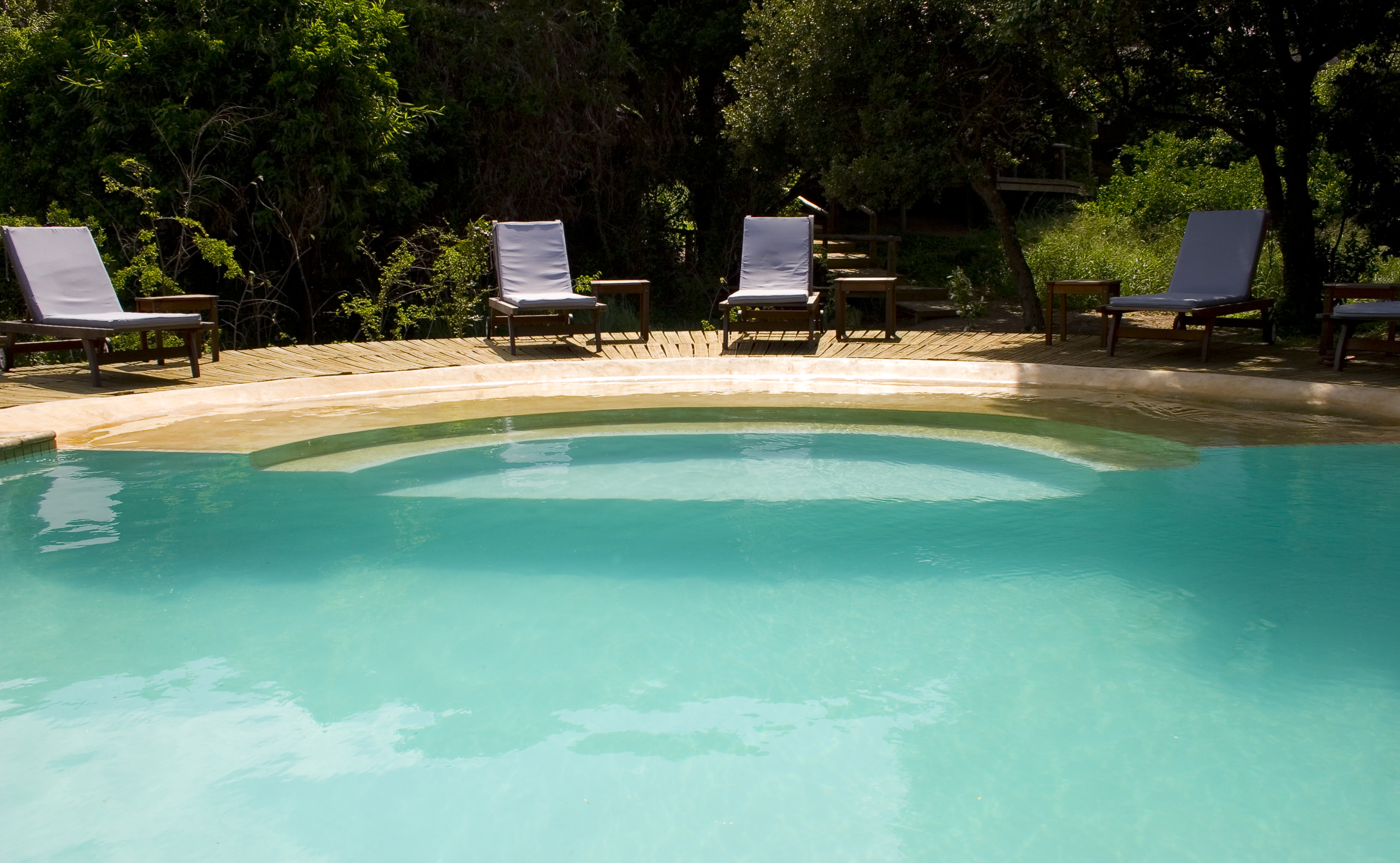 Thonga Beach Bar South Africa Pool