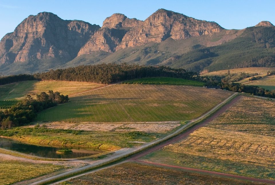 Winelands - Journeys by Design