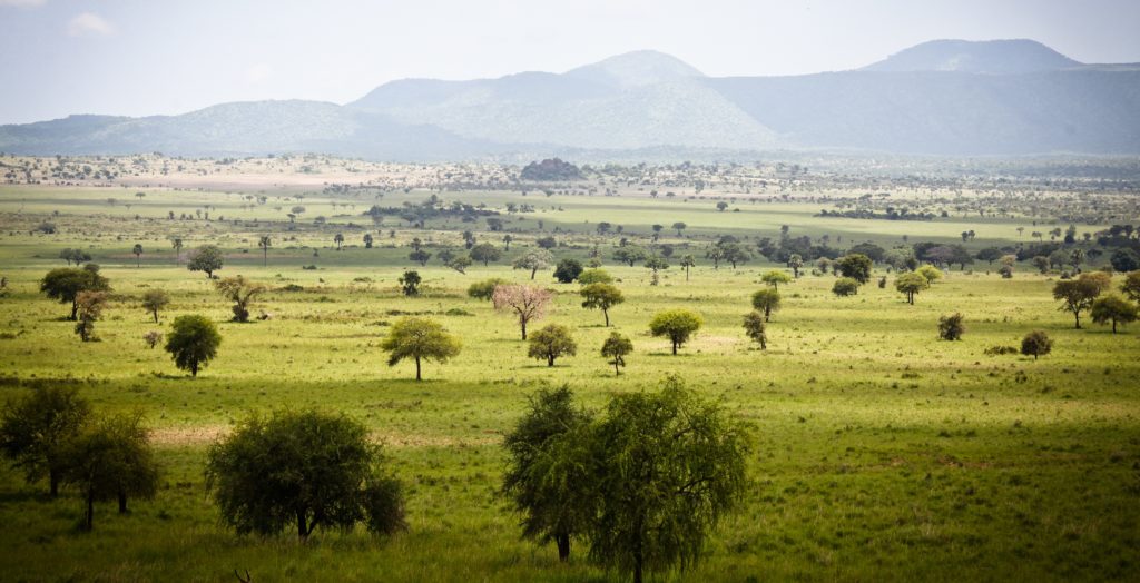 Uganda-Kidepo-Valley-Hero