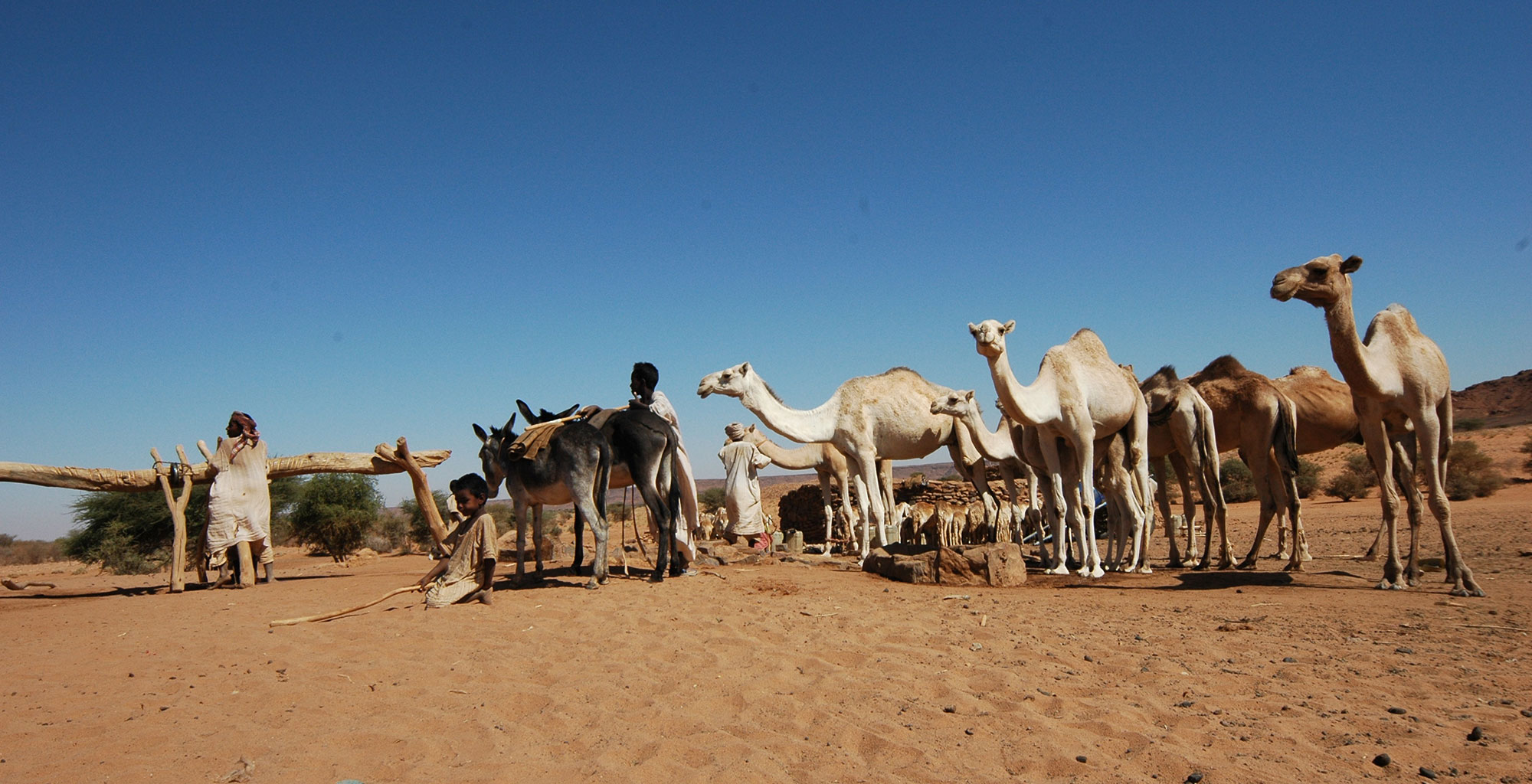 The Bayuda Desert - Journeys by Design