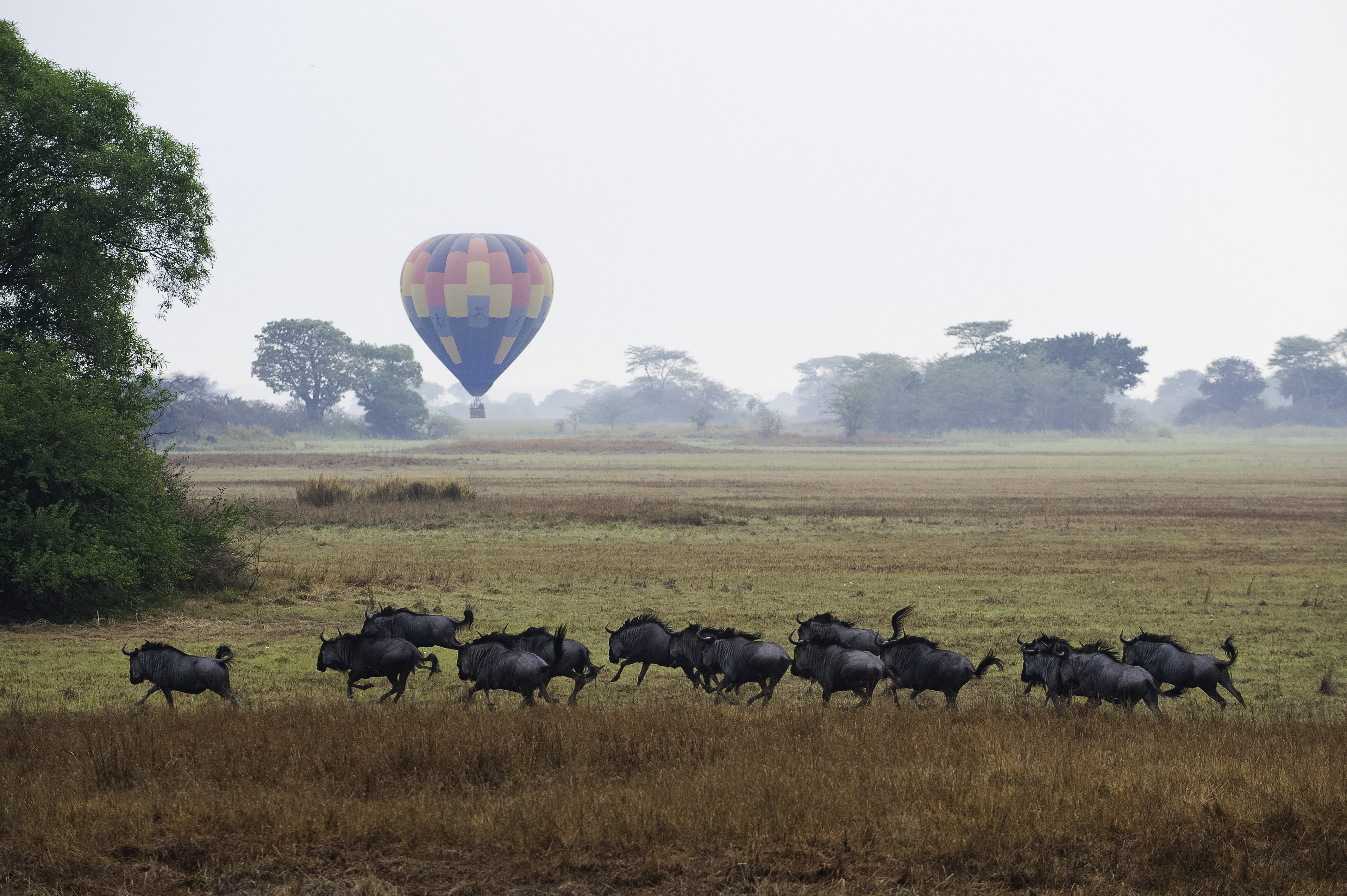 Kafue National Park Area Image