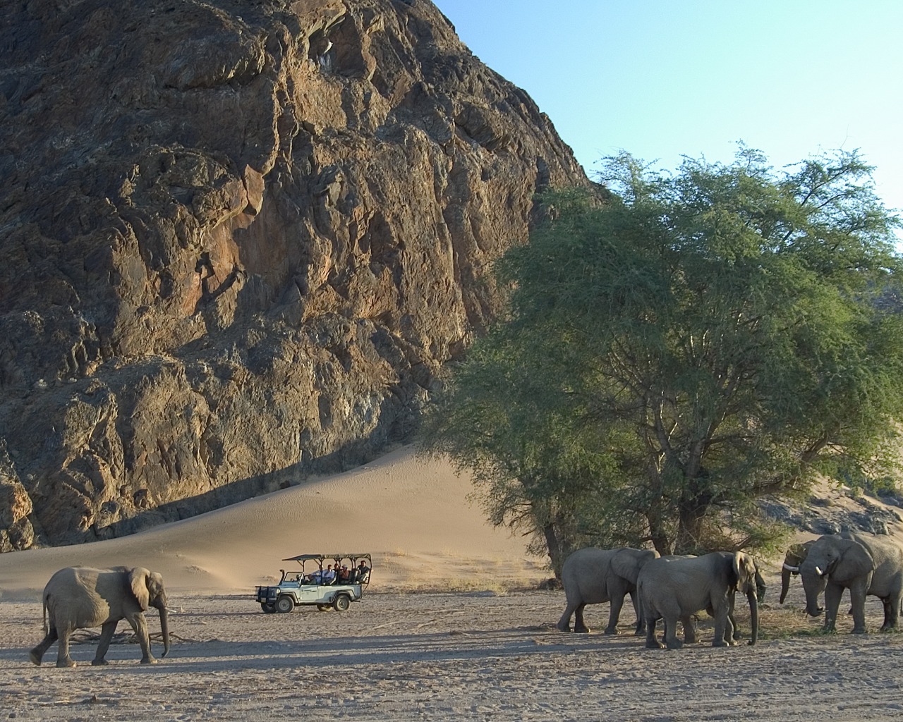 Damaraland Adventurer Camp Namibia Wildlife