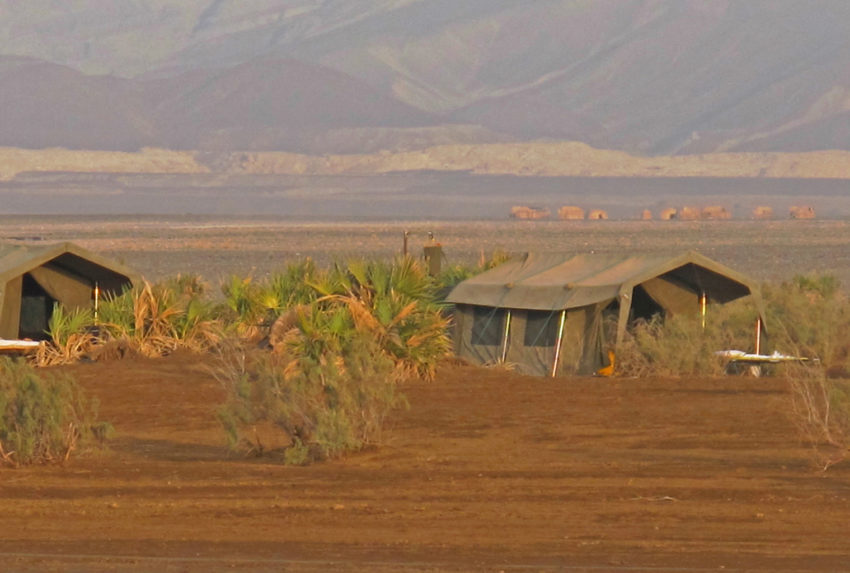 Danakil-Camp
