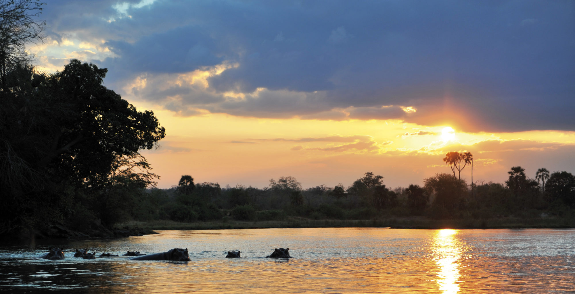 Tanzania-Selous-Game-Reserve-Hippo-Point