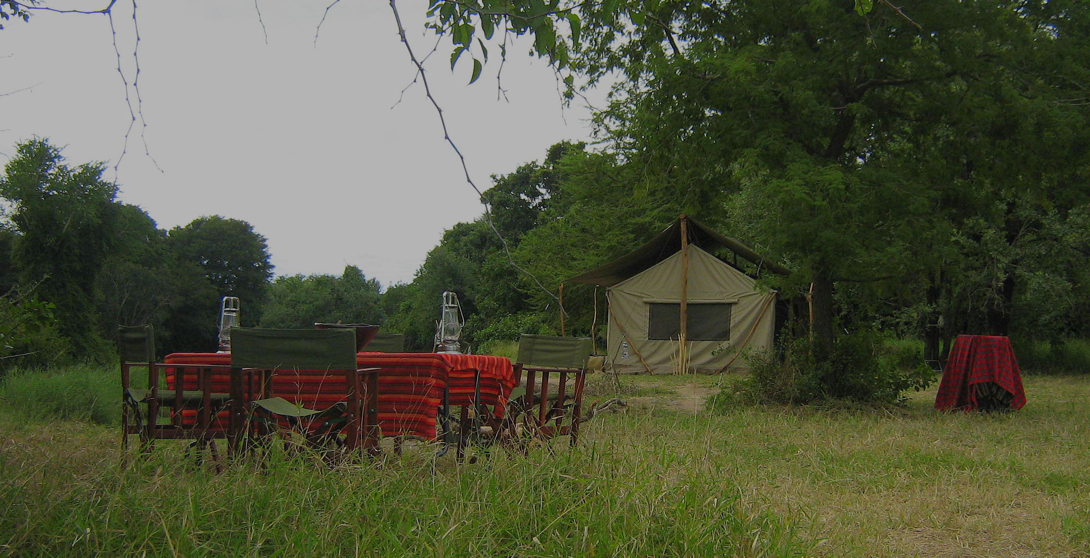 explore-gorongosa-camp-in-gorongosa-national-park-mozambique-journeys-by-design