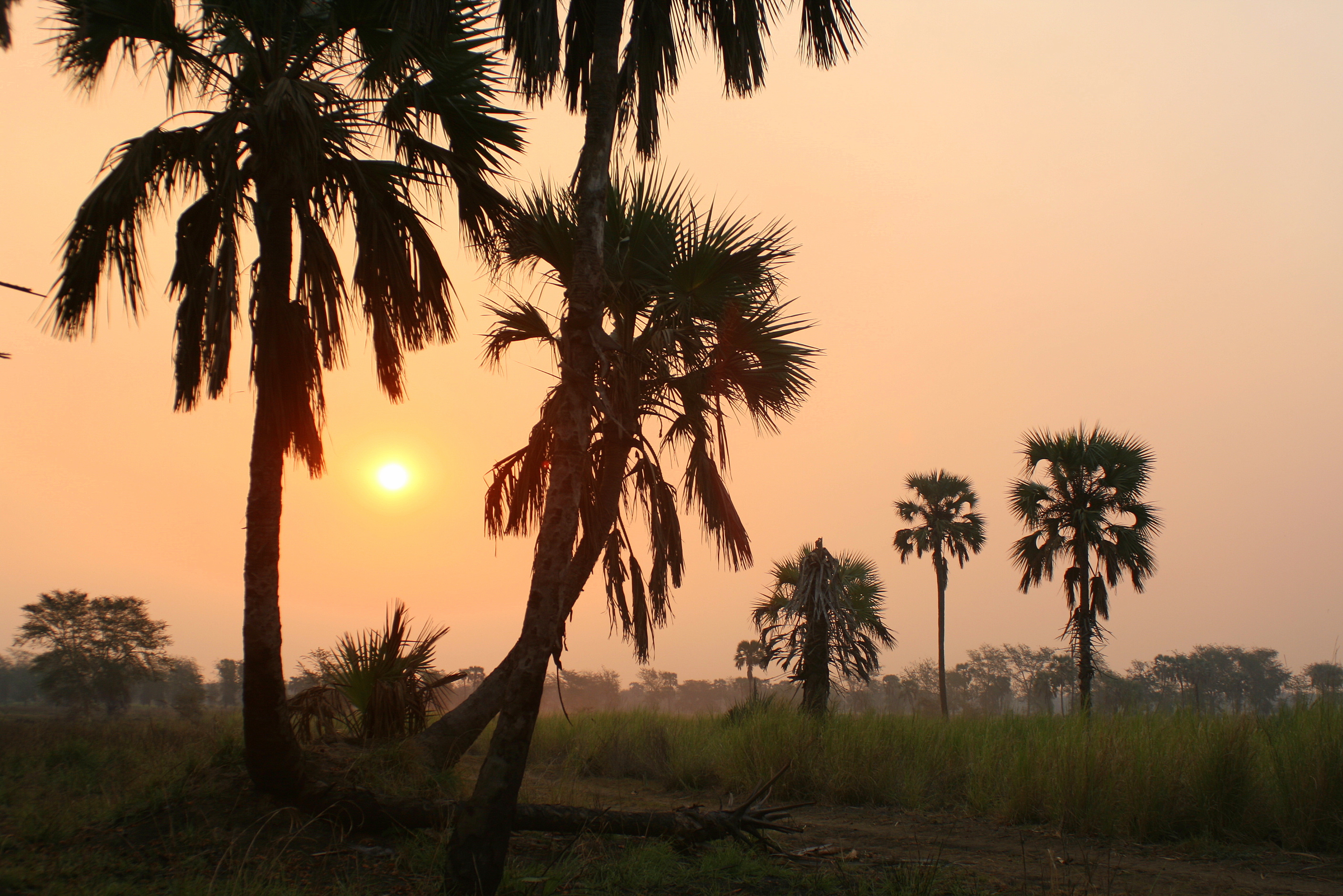 Explore Gorongosa Mozambique Sunset