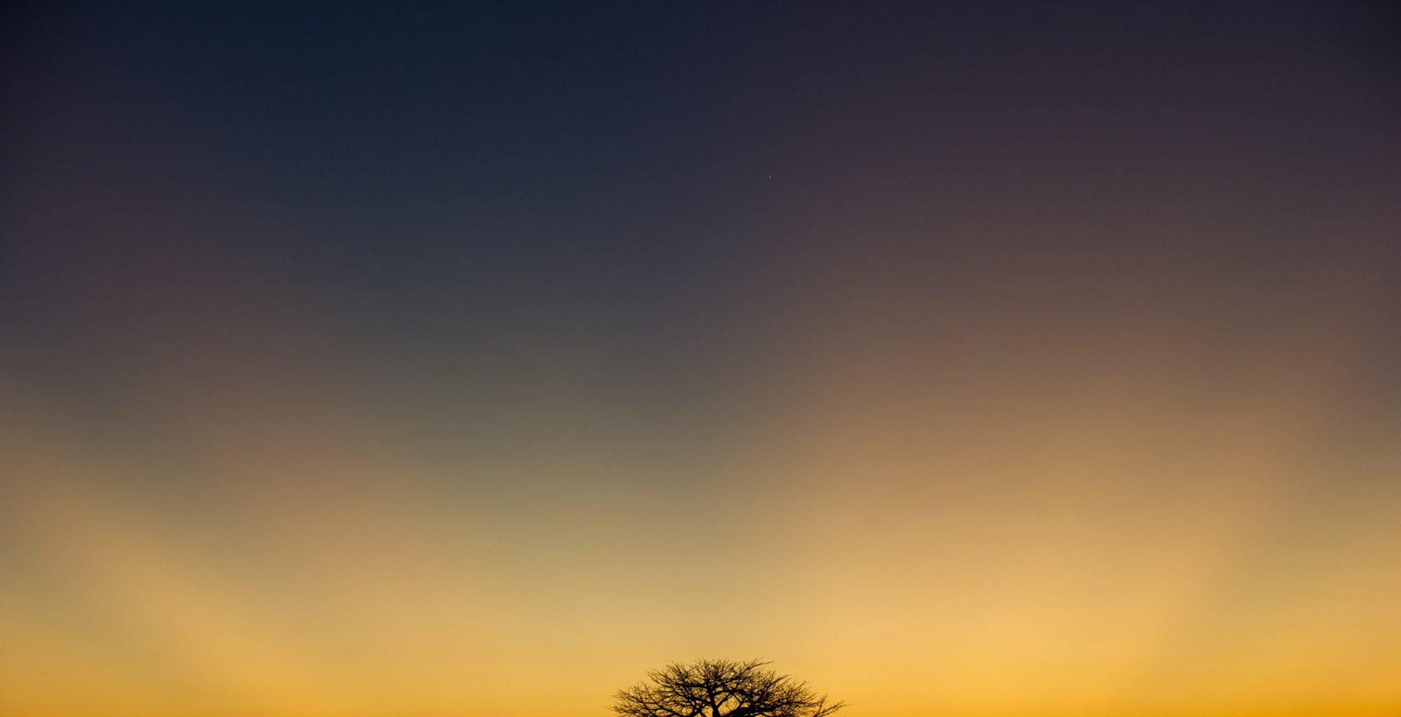 Tanzania-Kigelia-Landscape-Sunset