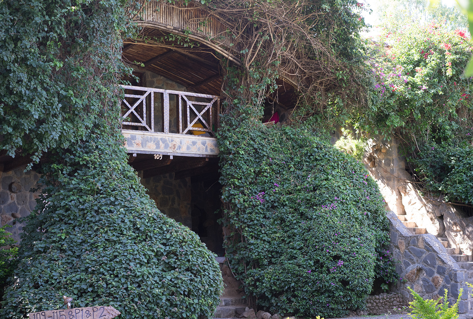 Kuruftu-Lodge-Exterior-Trees