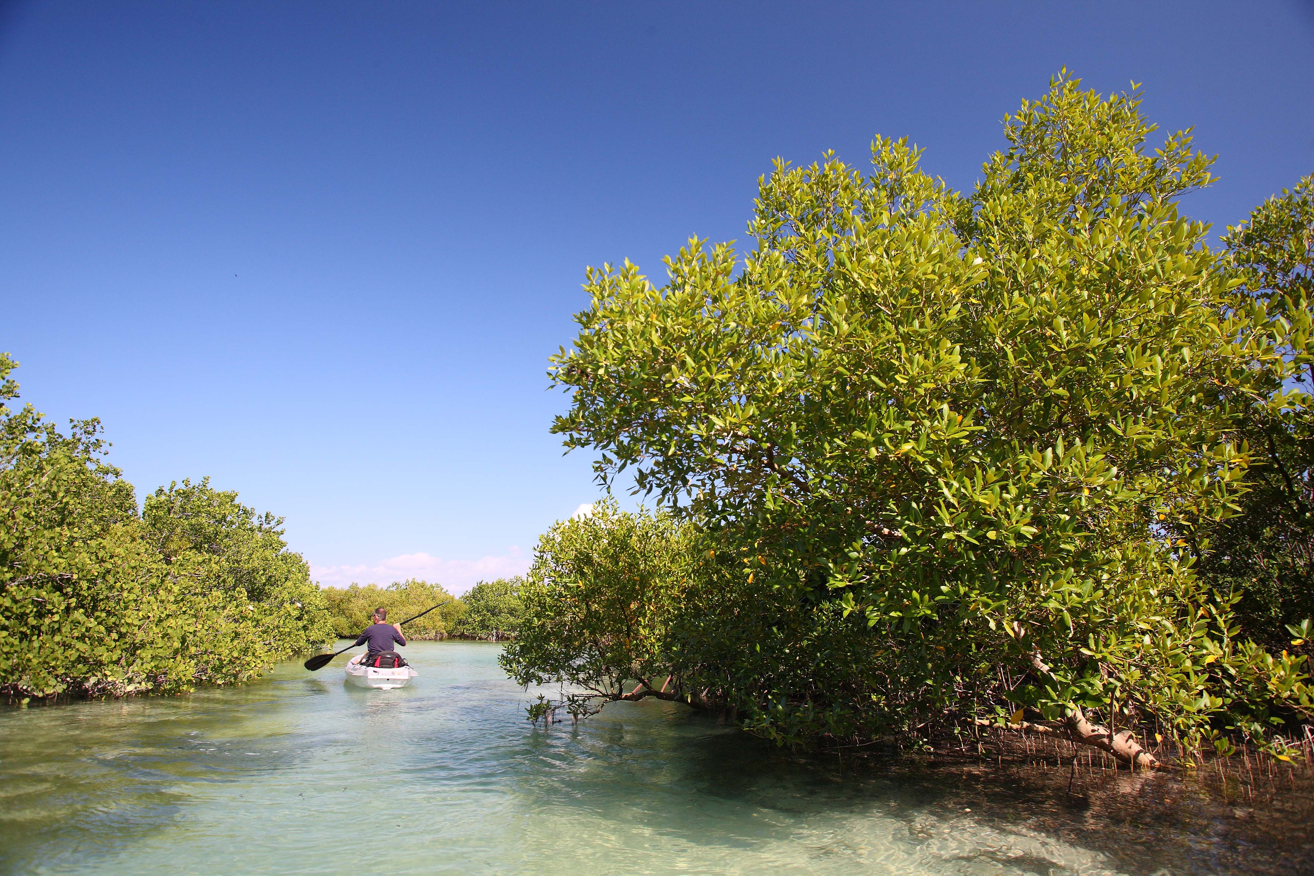 Nampula & Ilha d Mozambique Landscape