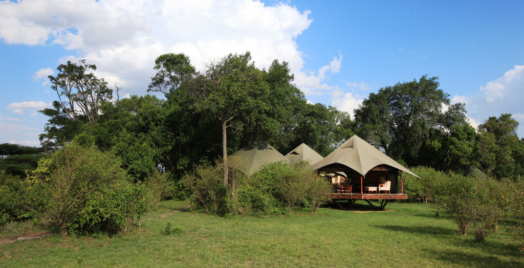 Mara-Plains-Camp-Kenya