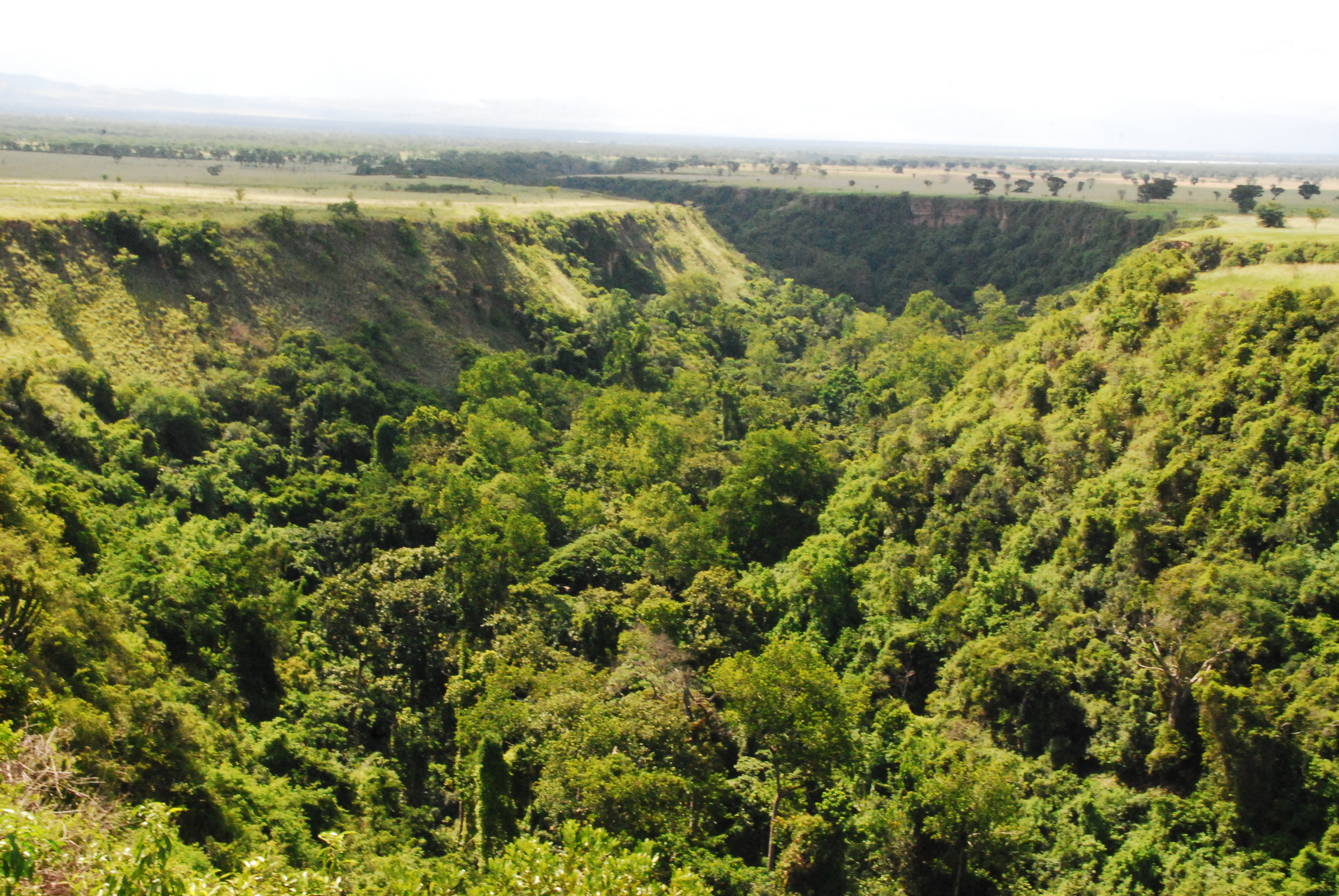 Queen Elizabeth Uganda Forest