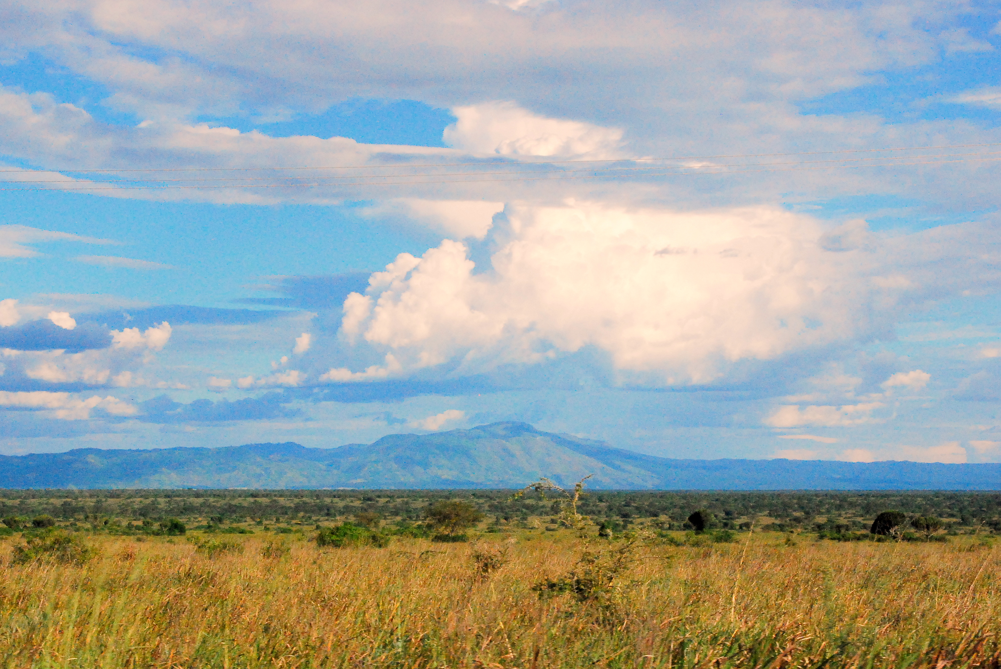 Queen Elizabeth Uganda Mountain