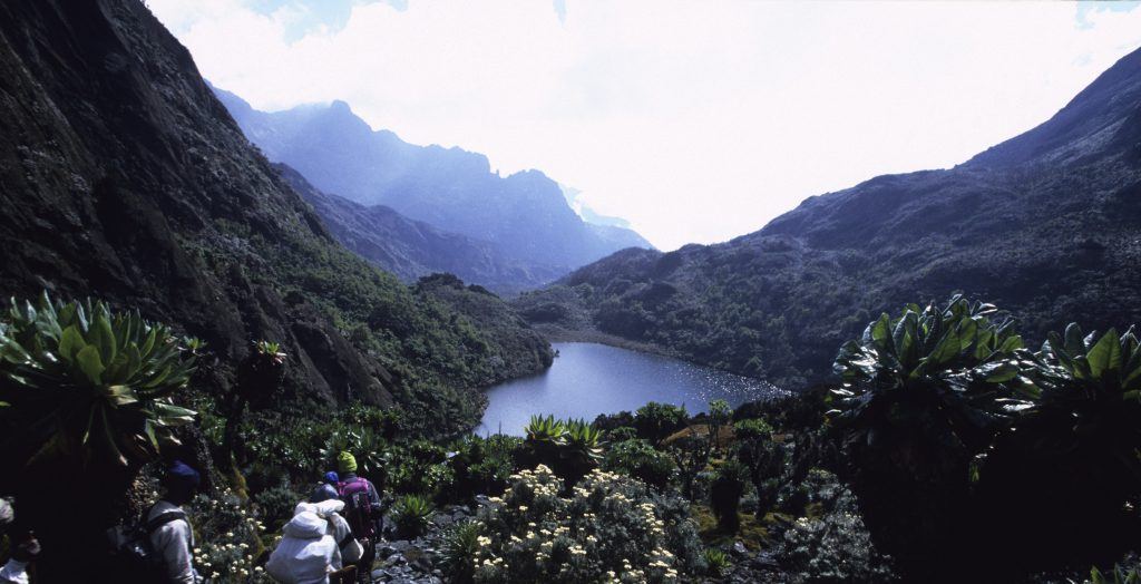 Uganda-Rwenzori-Mountains-Valley