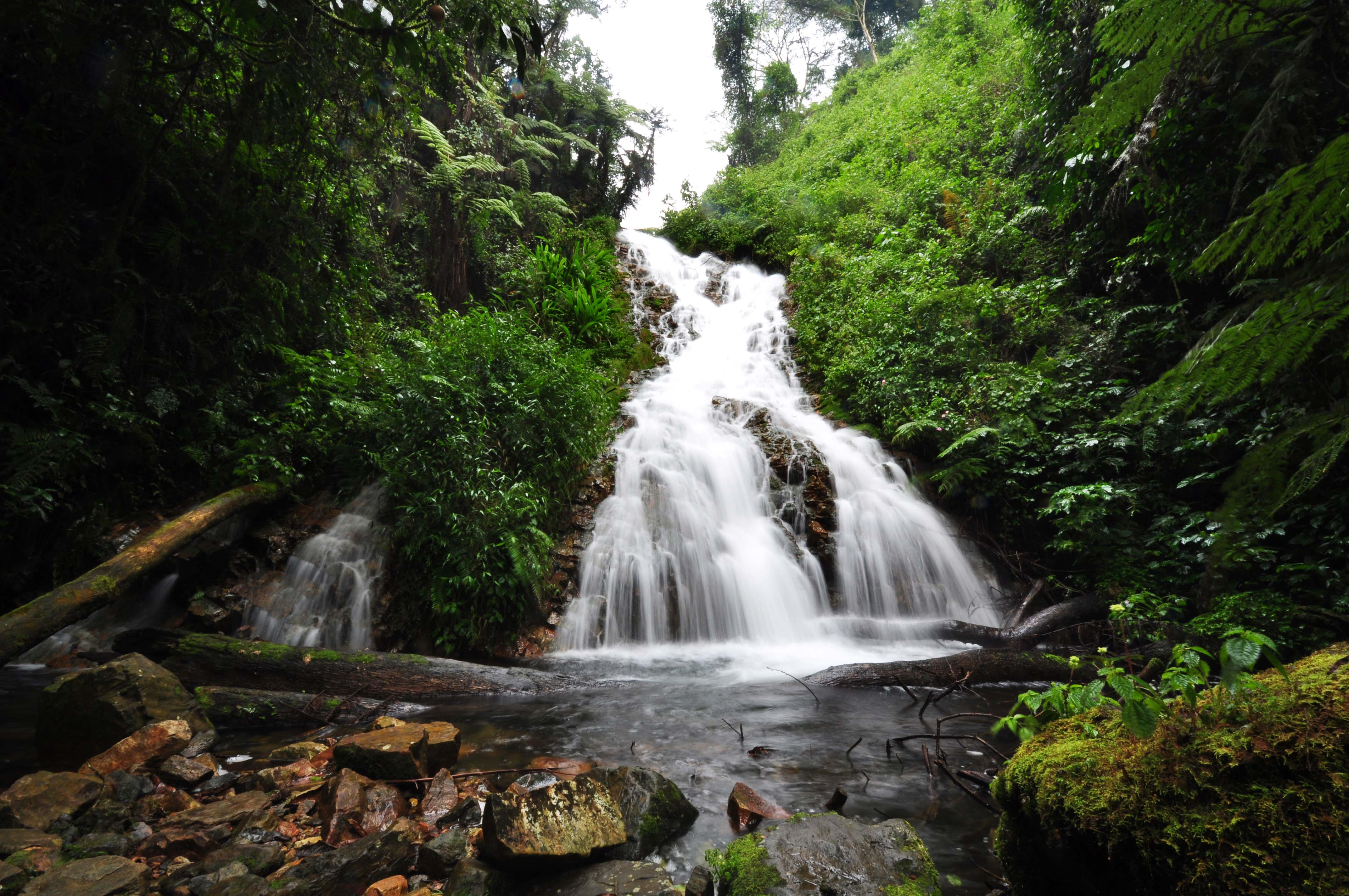 Gorilla Forest Camp Uganda Views