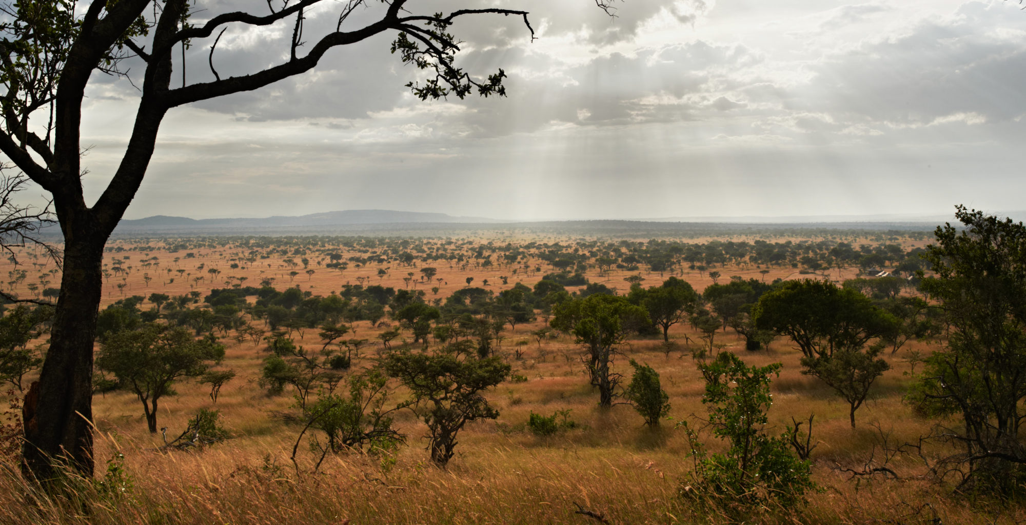 Tanzania-Singita-Explore-Landscape