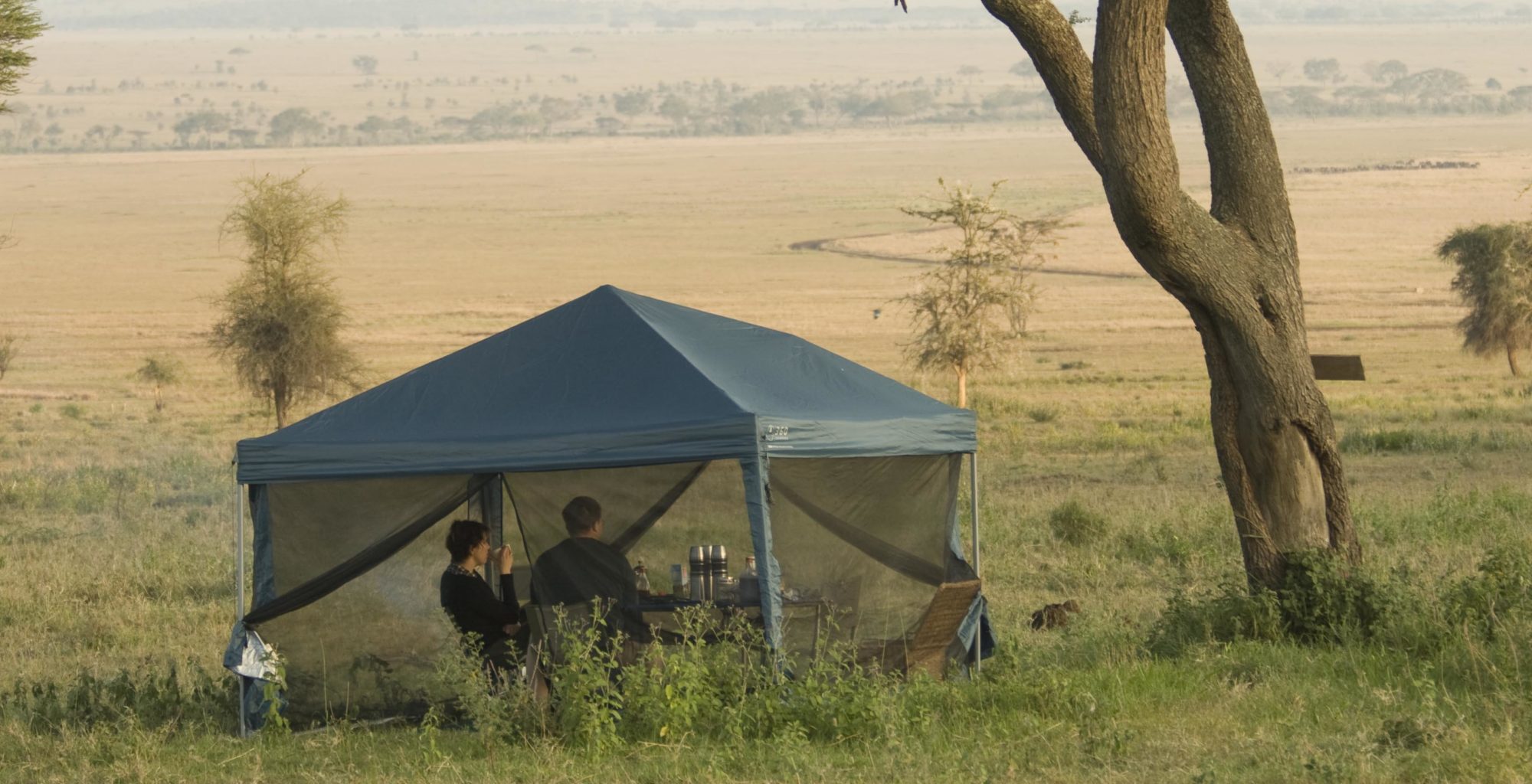 Tanzania-Wayo-Mobile-Camp-Mess-Tent