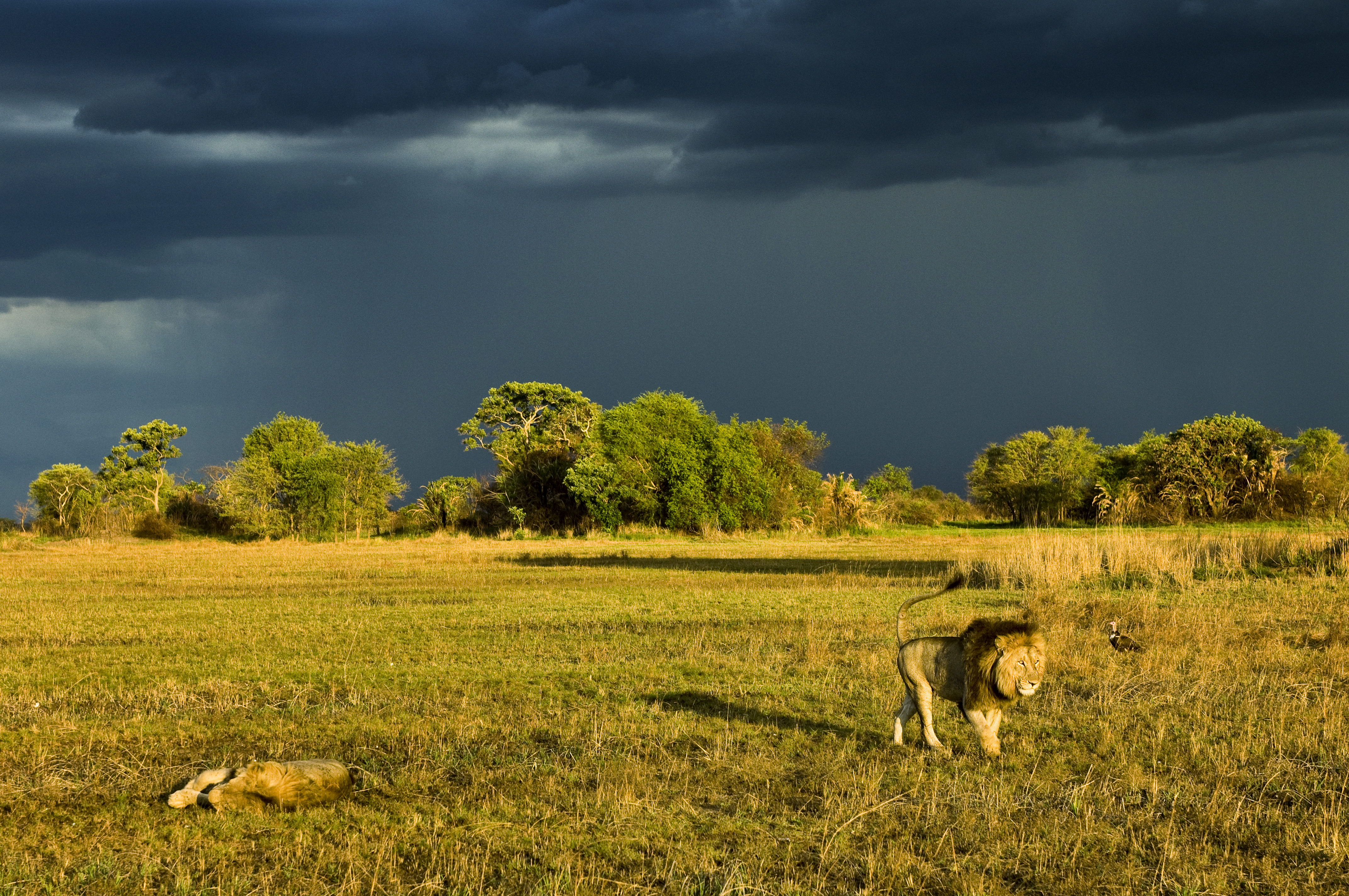 Kafue National Park Area Image