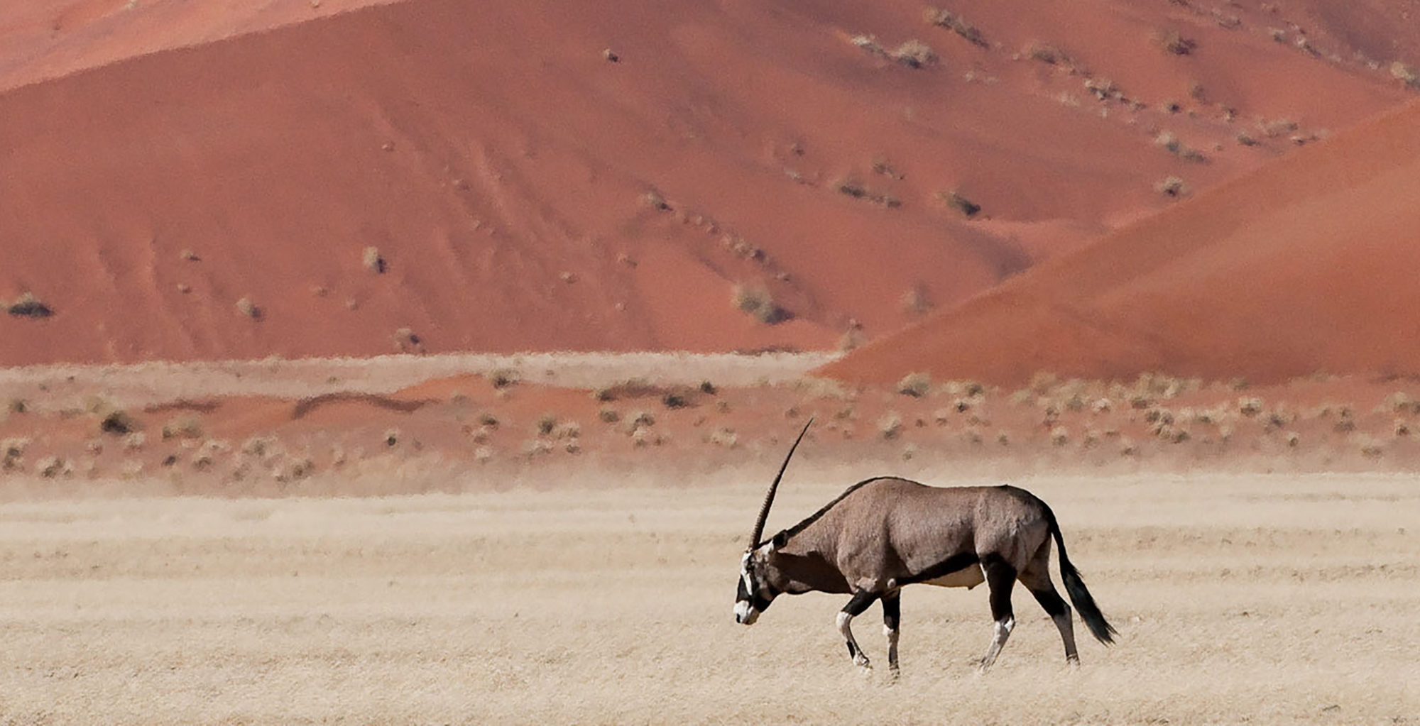 Kulala Desert Lodge in Greater Sossusvlei, Namibia - Journeys by Design