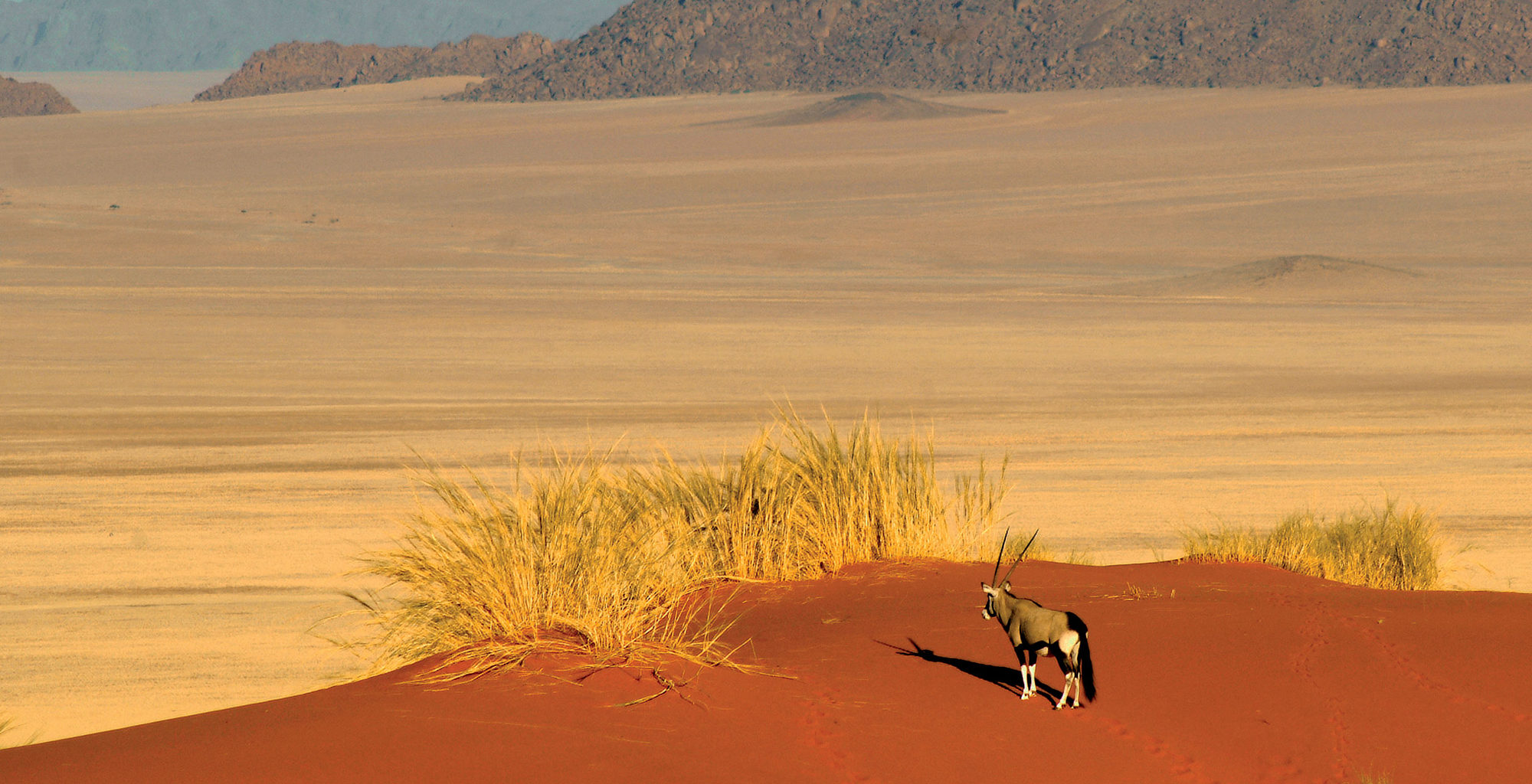 Namibia-NamibRand-Reserve-Oryx-Landscape