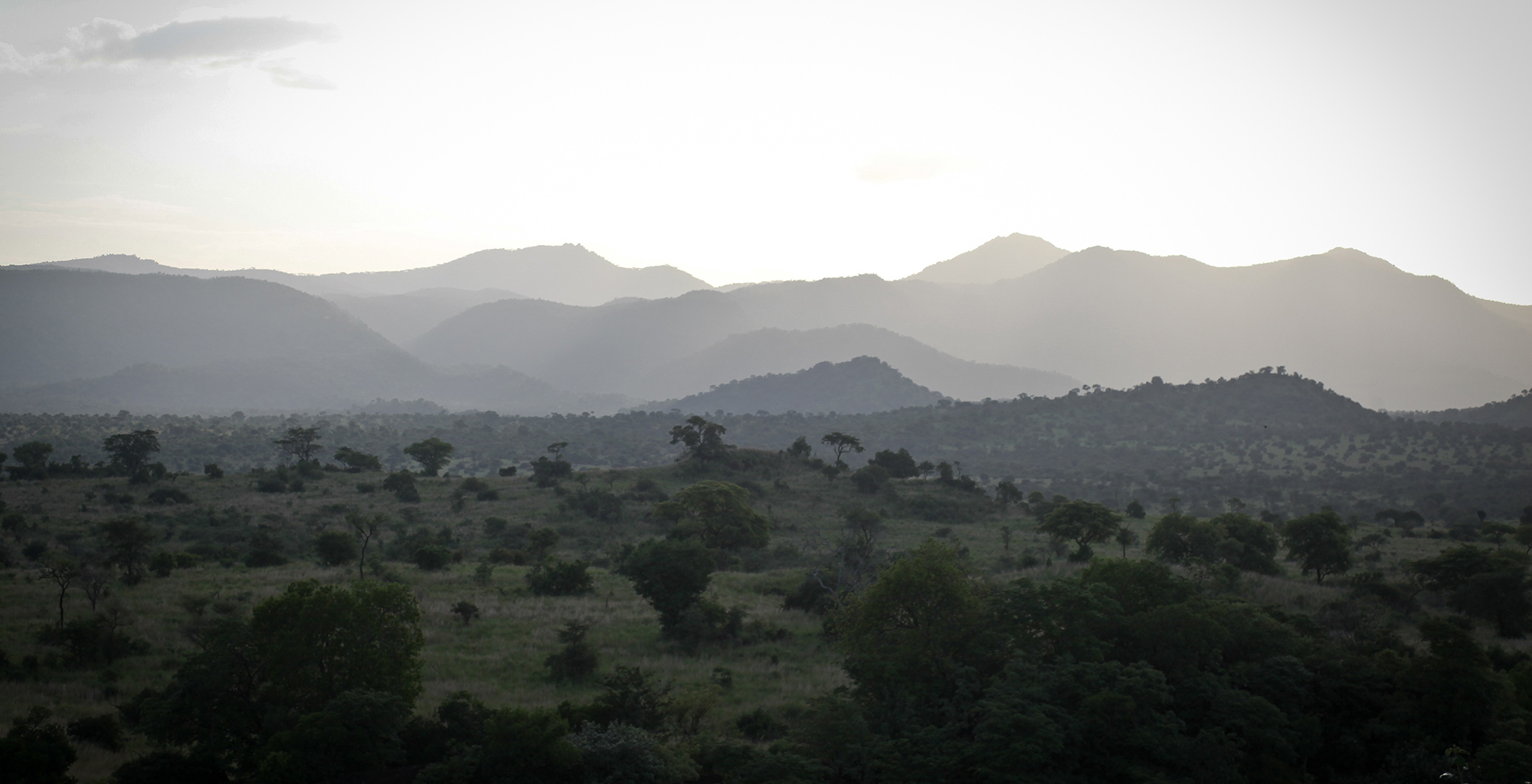 Uganda-Apoka-Lodge-Landscape