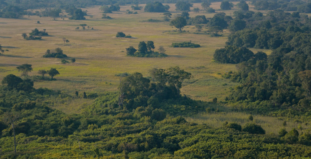 Zambia-Kasanka-National-Park-Landscape