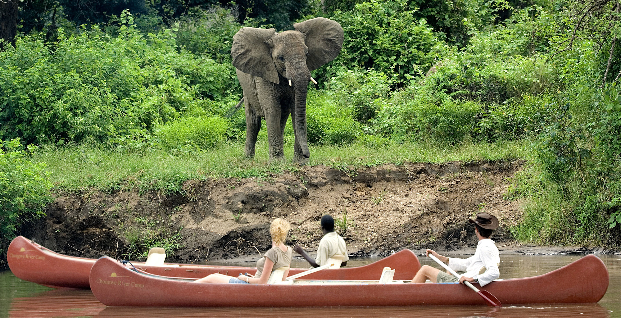 Zambia-Chongwe-River-House-Canoeing-Elephant