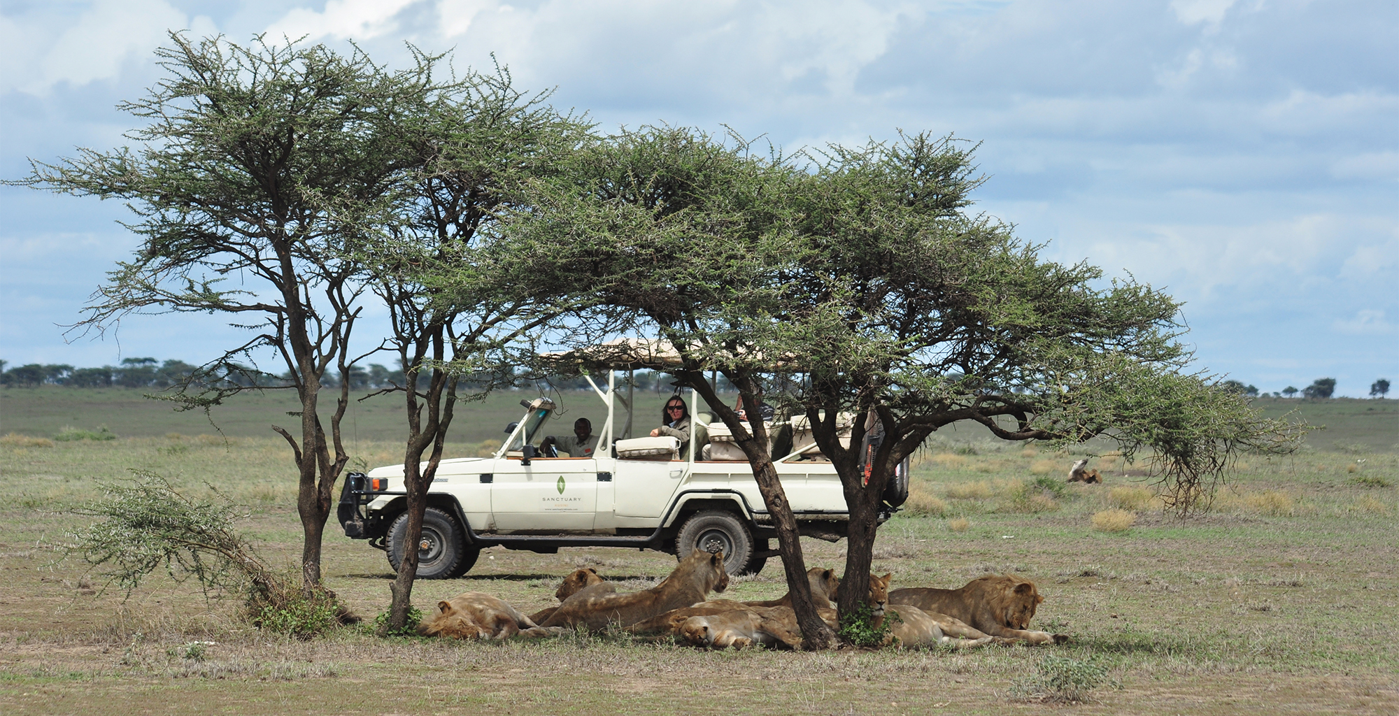 Tanzania-Kusini-Serengeti-Game-Drive-Lions