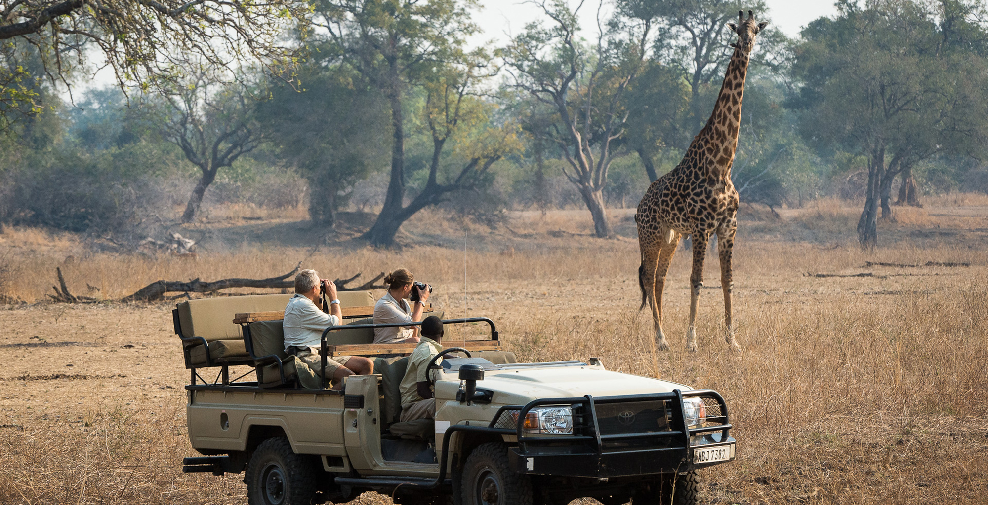 Zambia-Robins-House-Wildlife-Giraffe