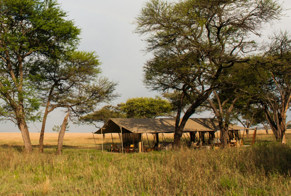 Serengeti Safari Camp in serengeti National Park, Tanzania