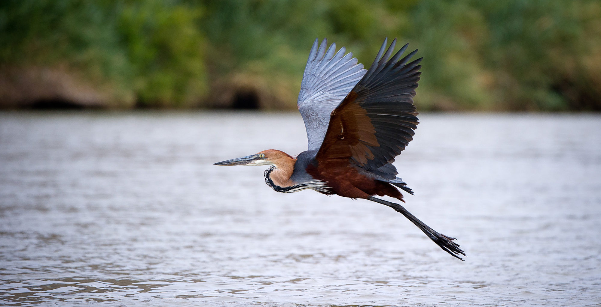 Namibia-Serra-Cafema-Birdlife