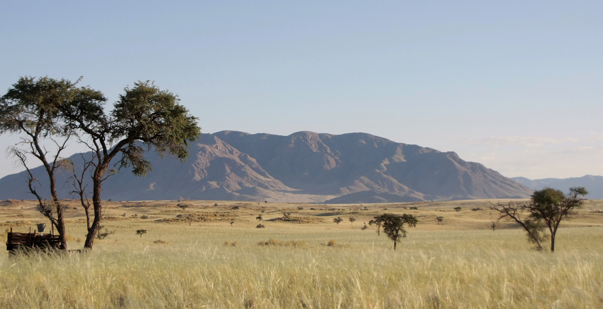 Namibia-Tok-Tokkie-NamibRand-Landscape