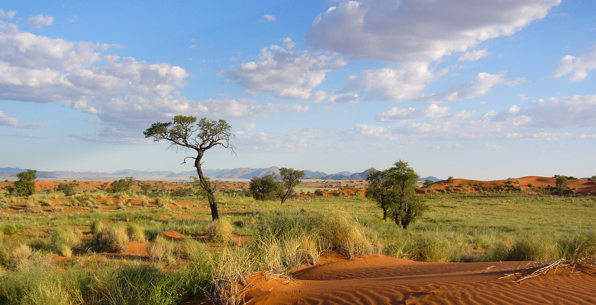 Namibia-NamibRand-Reserve-Landscape