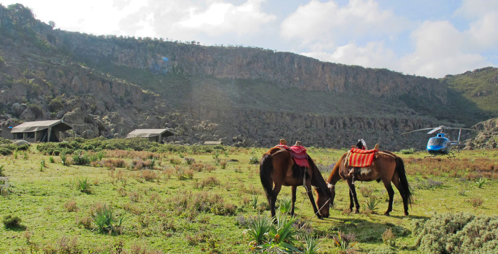 Ethiopia-Wild-Expeditions-Bale-Horse-Helicopter