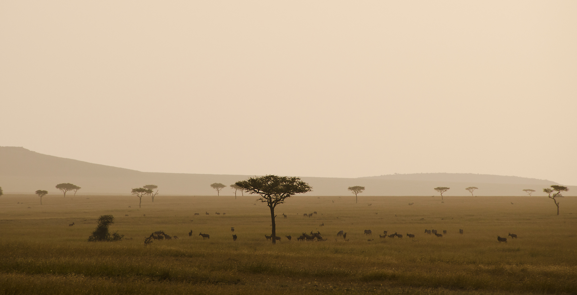 Tanzania-Serengeti-National-Park-Landscape