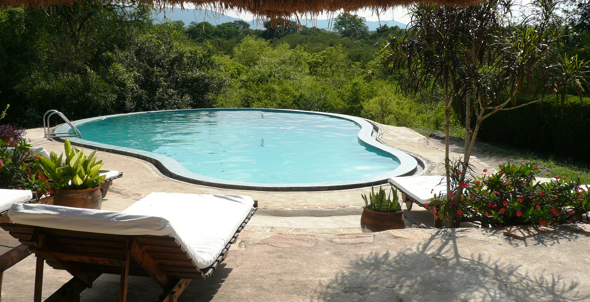 Uganda-Semliki-Lodge-Pool
