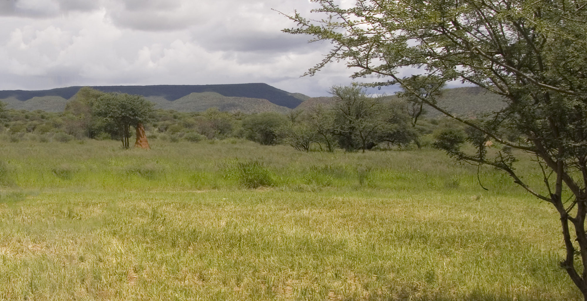 Safari in the Okanjima Reserve in Namibia - Journeys by Design