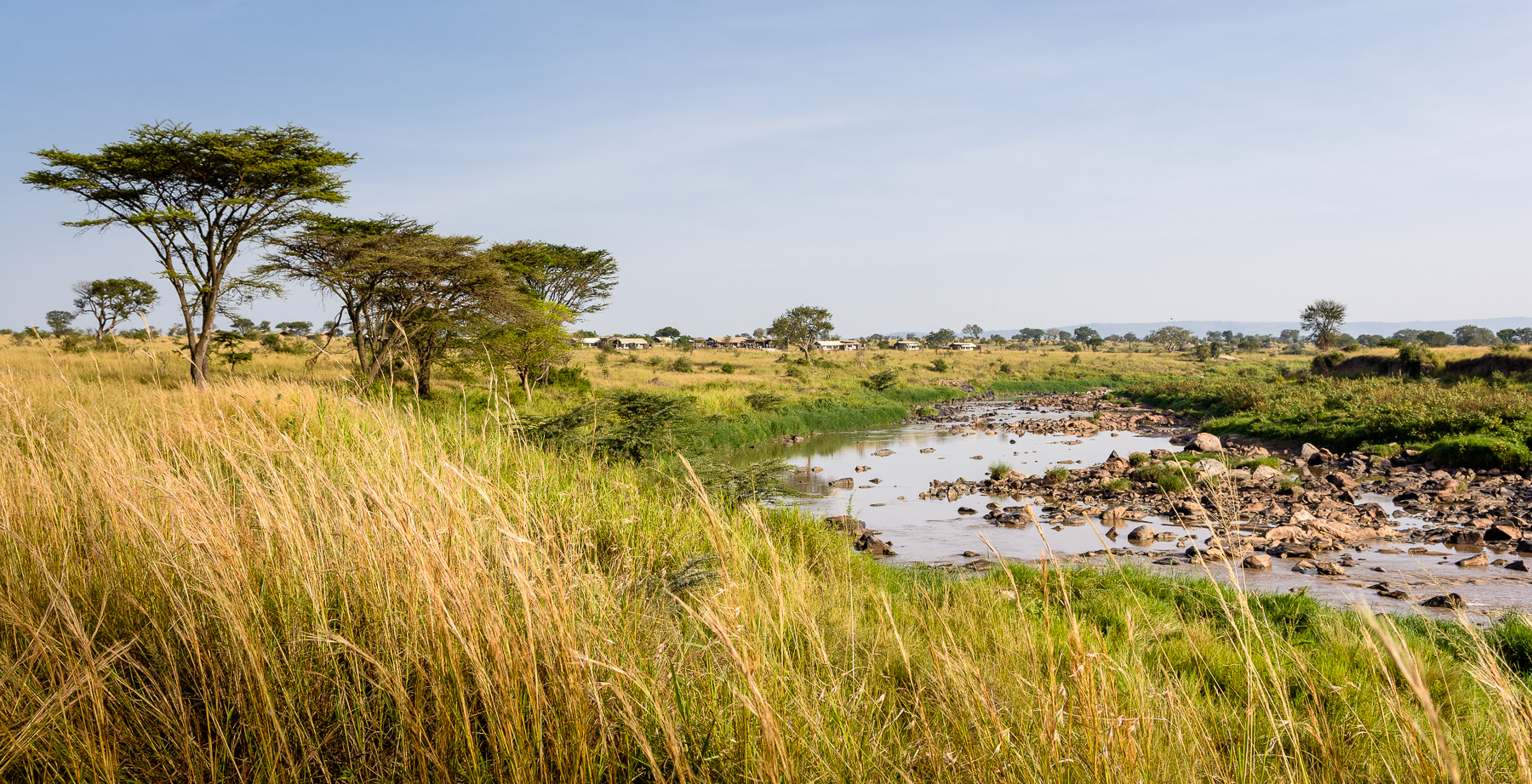 Singita Mara Camp Landscape