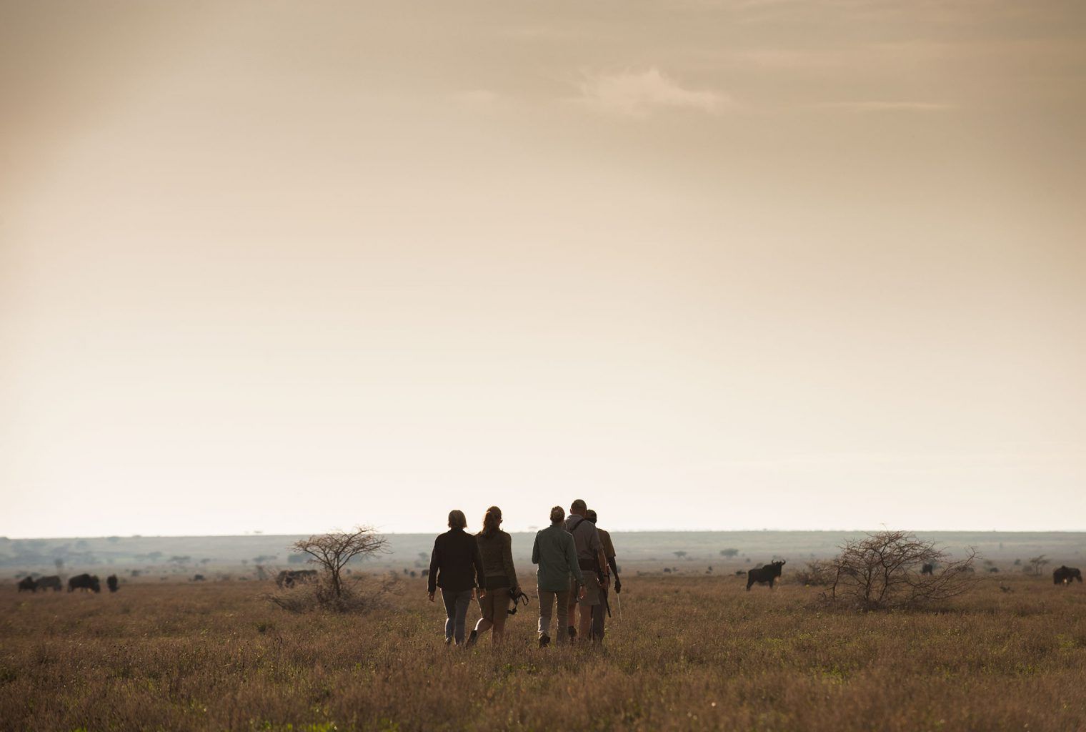 img Clients Tanzania Legendary_Expeditions Legendary Serengeti Camp 9 LegendarySerengetiCamp WalkingSafari 1520x1024