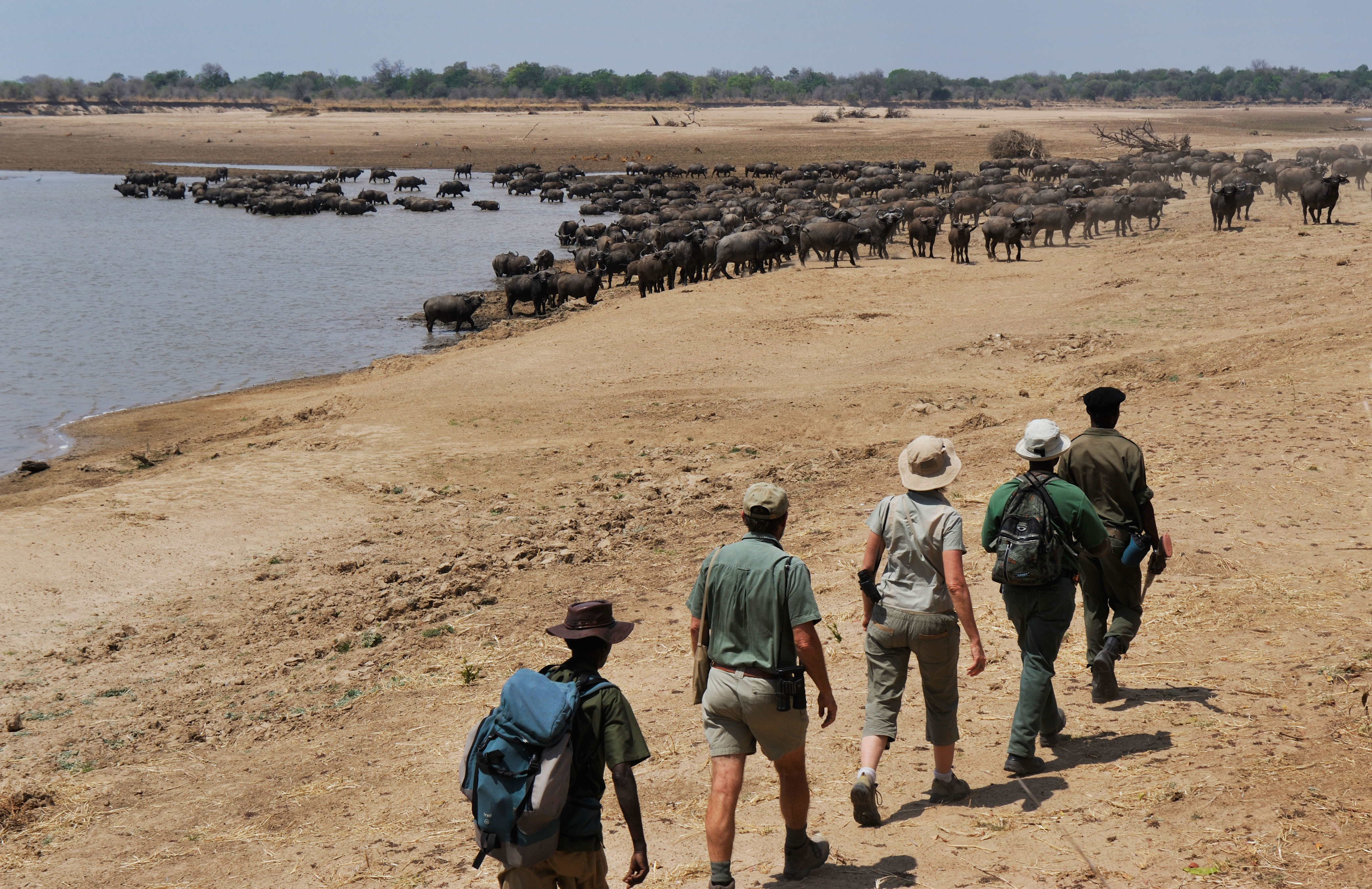 Tafika-camp--Zambia-wildlife