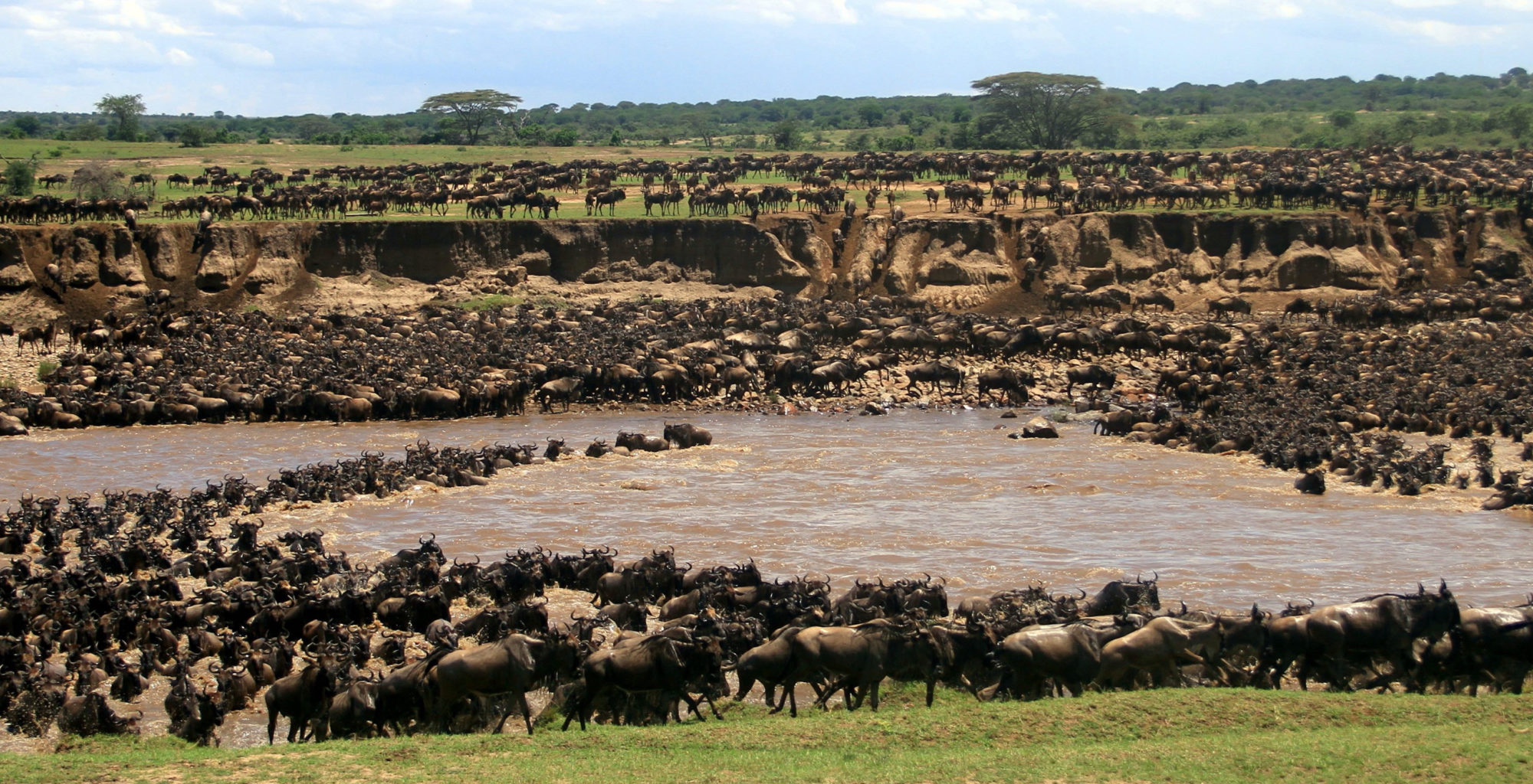 Legendary Serengeti Camp in Serengeti National Park, Tanzania