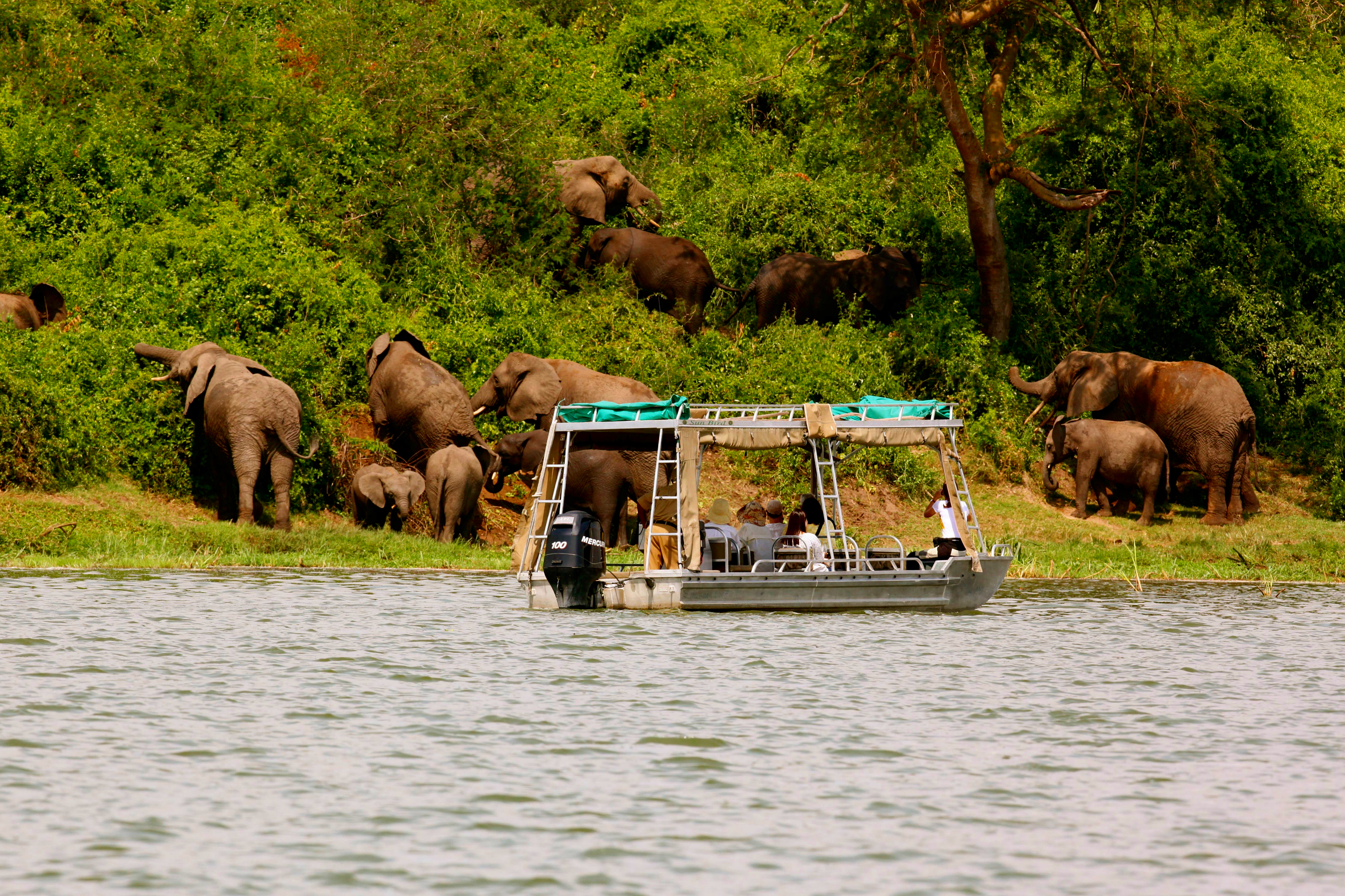 Mweya Lodge Uganda Activity