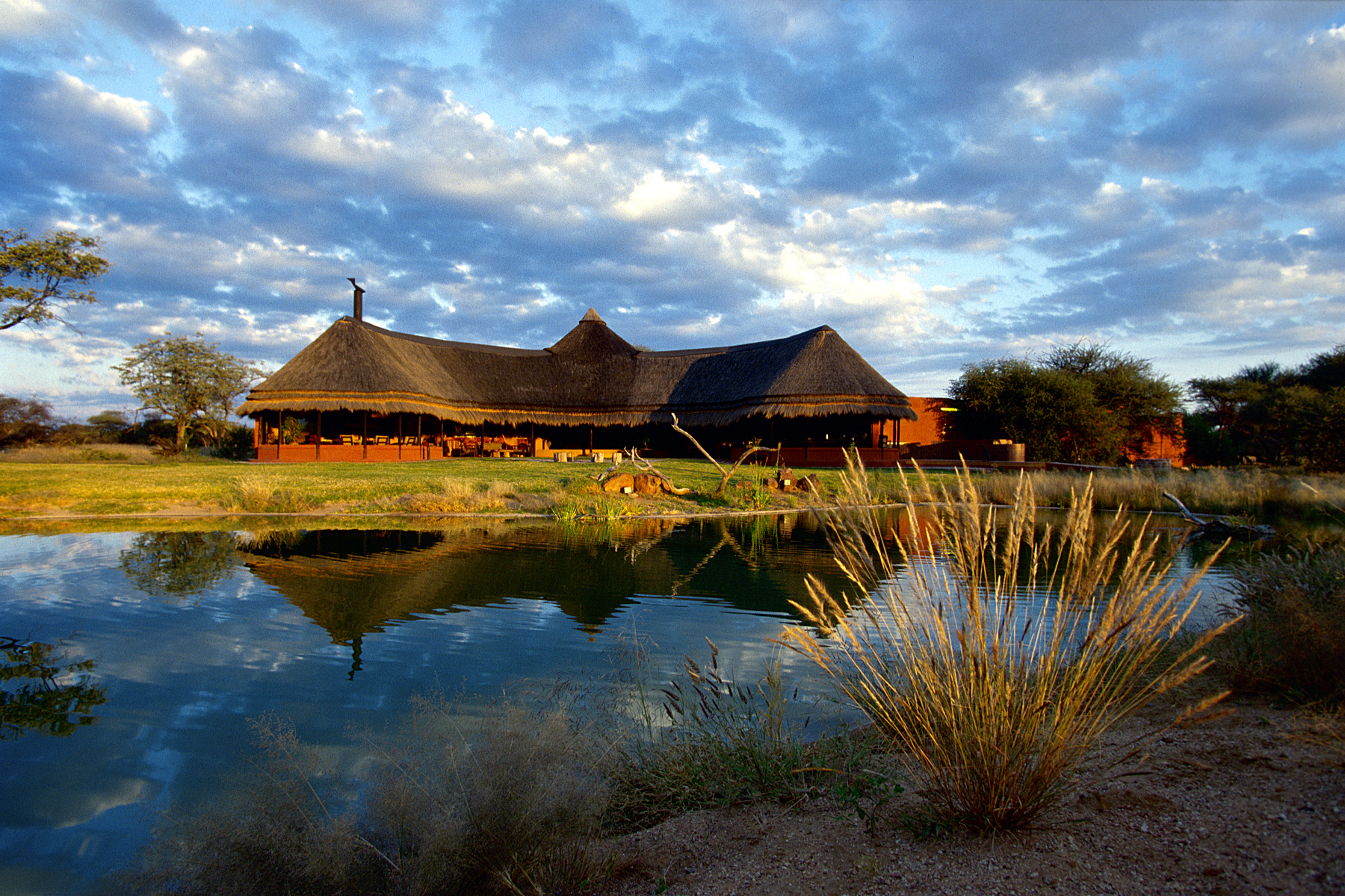 Okonjima Bush Camp - Journeys By Design