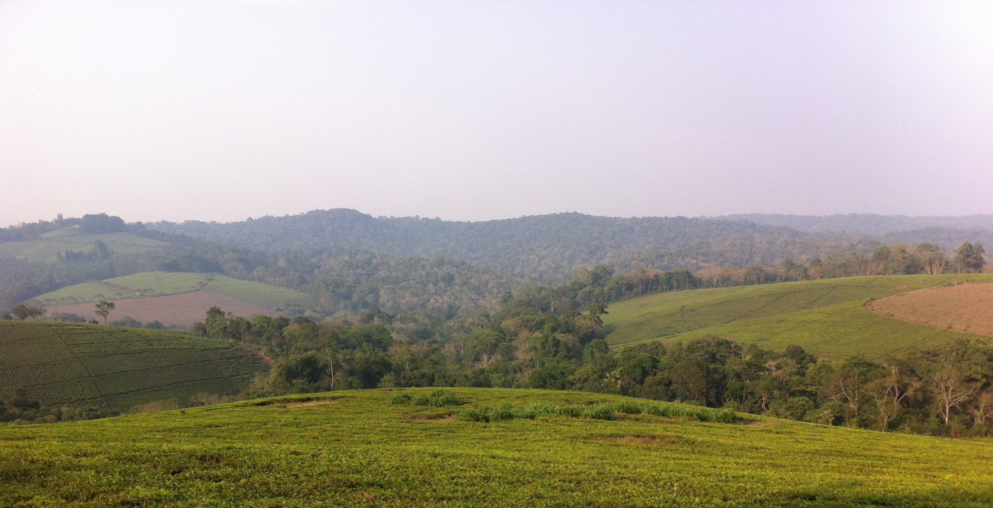 Uganda-Kibale-Landscape