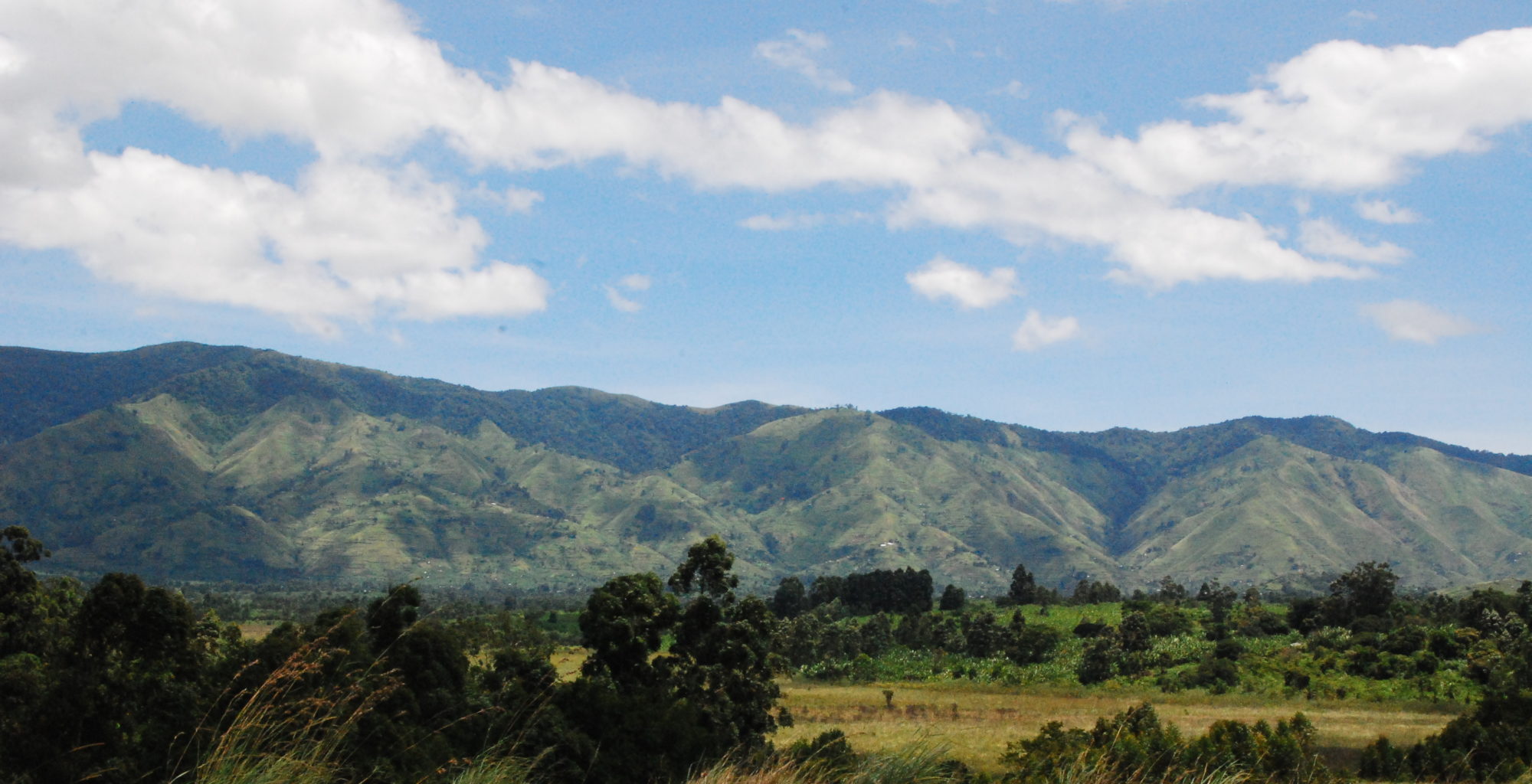 Uganda-Rwenzori-Mountains-Landscape