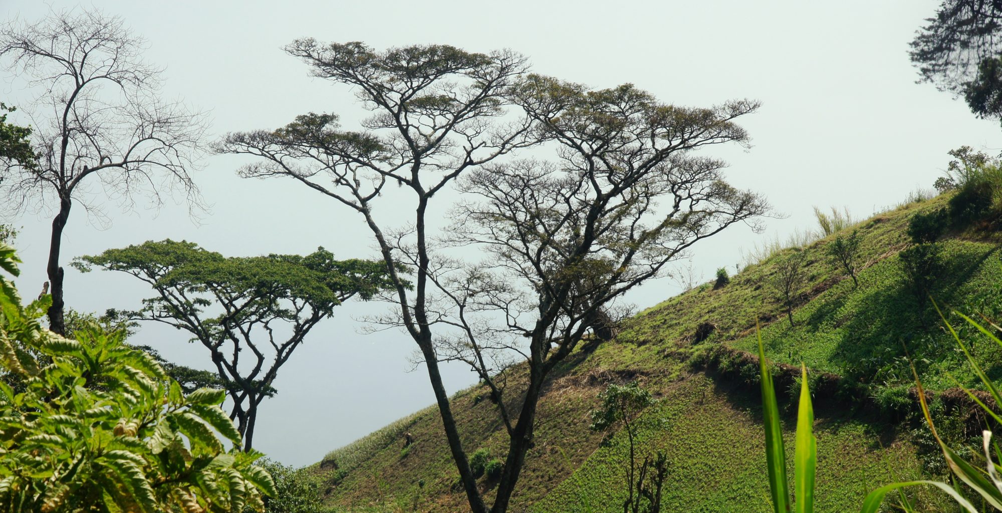 Uganda-Kibale-Landscape