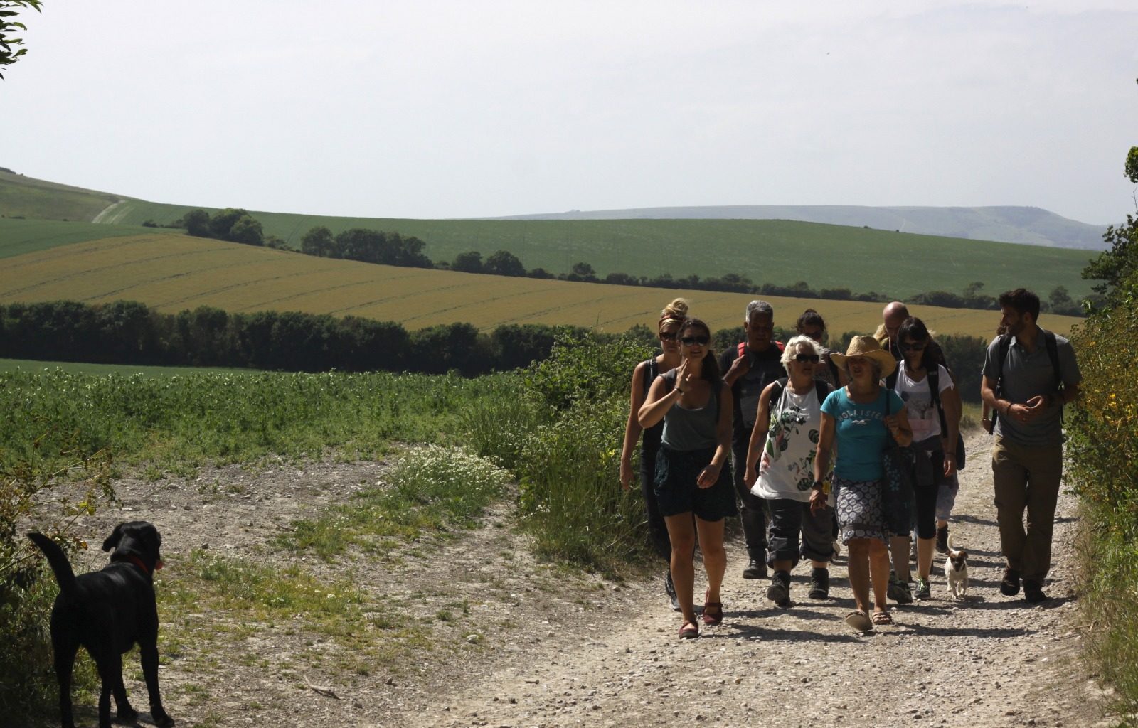 Journeys by Design Team Foraging near Firle in the South Downs