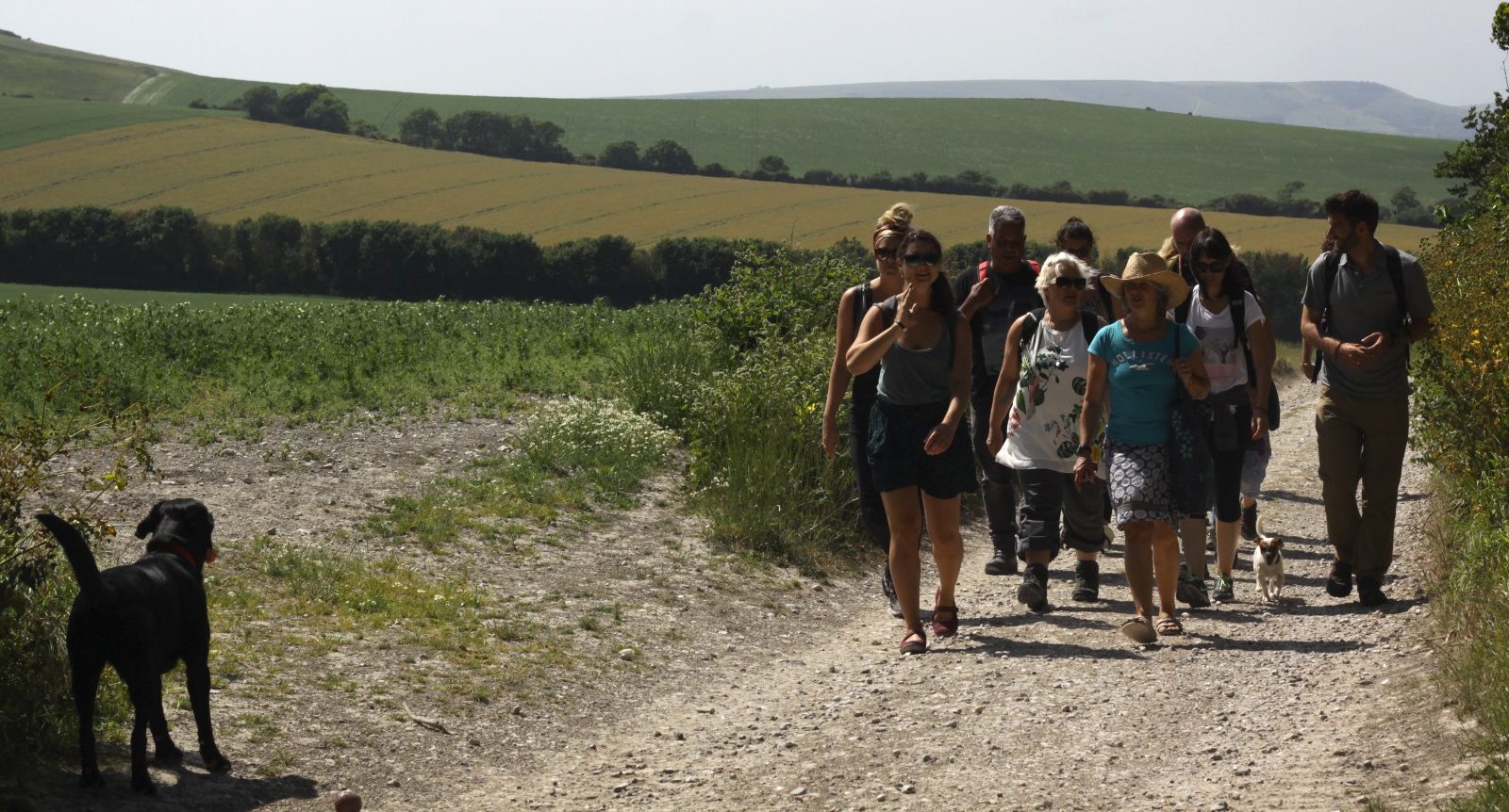 Journeys by Design Team Foraging near Firle in the South Downs